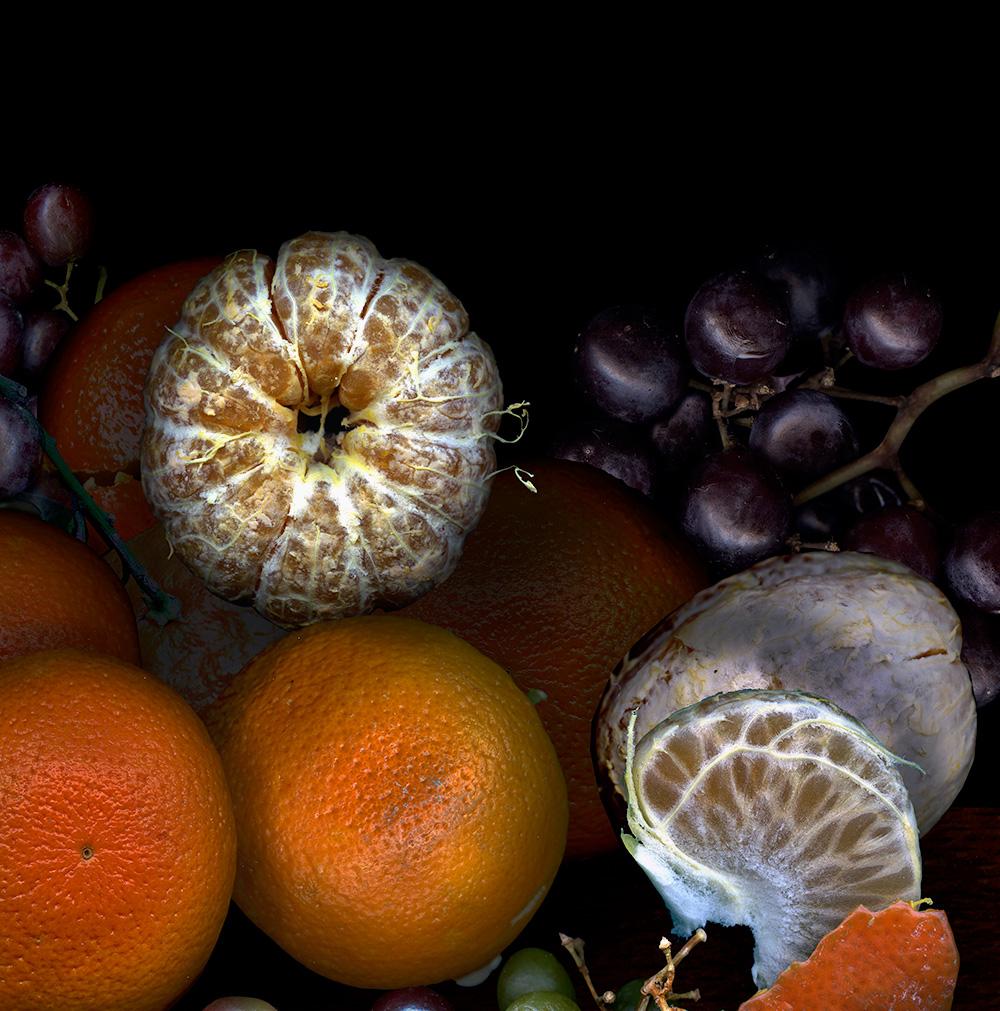 Fruits from my garden #3. Fruits. Digital Collage Color Photograph For Sale 2
