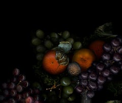 Obst aus meinem Garten #7. Früchte. Digitale Collage-Farbfotografie