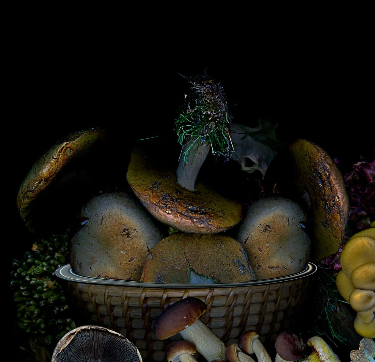 Vegetables from my garden #3 Digitale Collage-Farbfotografie – Photograph von Zoltan Gerliczki