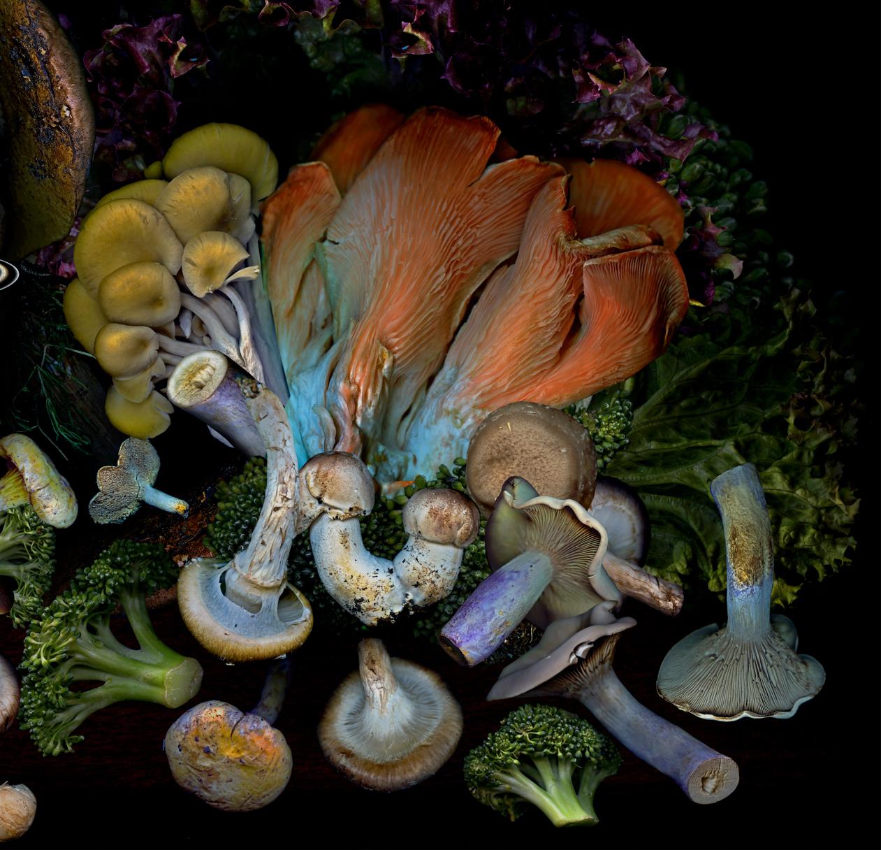 Vegetables from my garden #3 Digitale Collage-Farbfotografie (Moderne), Photograph, von Zoltan Gerliczki