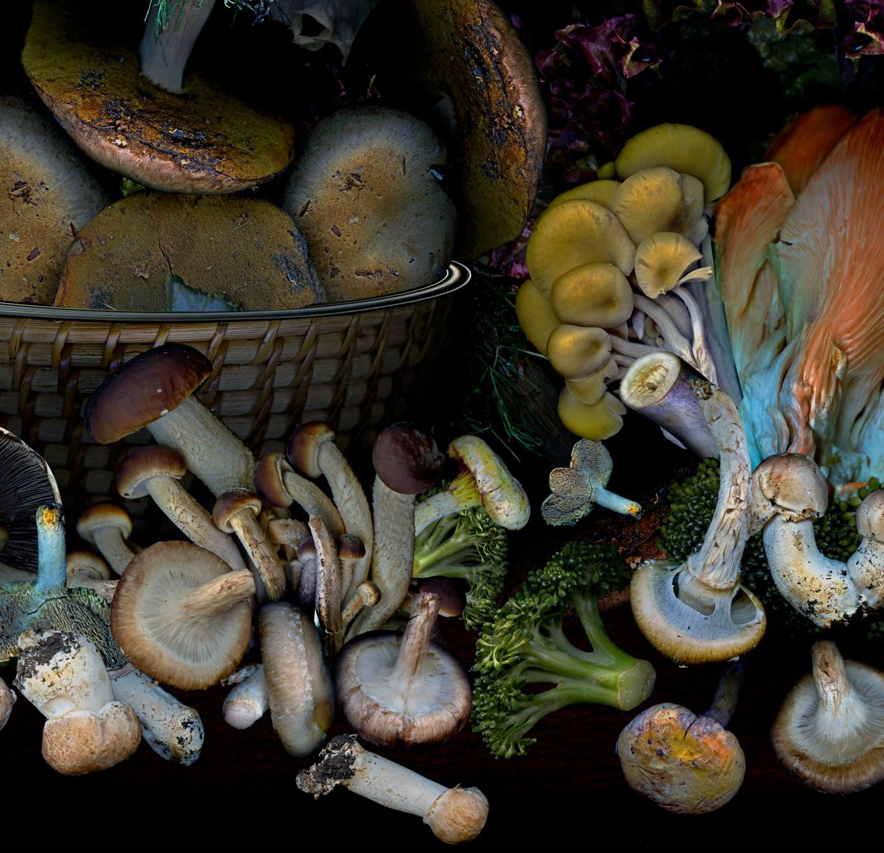 Vegetables from my garden #3 Digital Collage Color Photograph For Sale 2