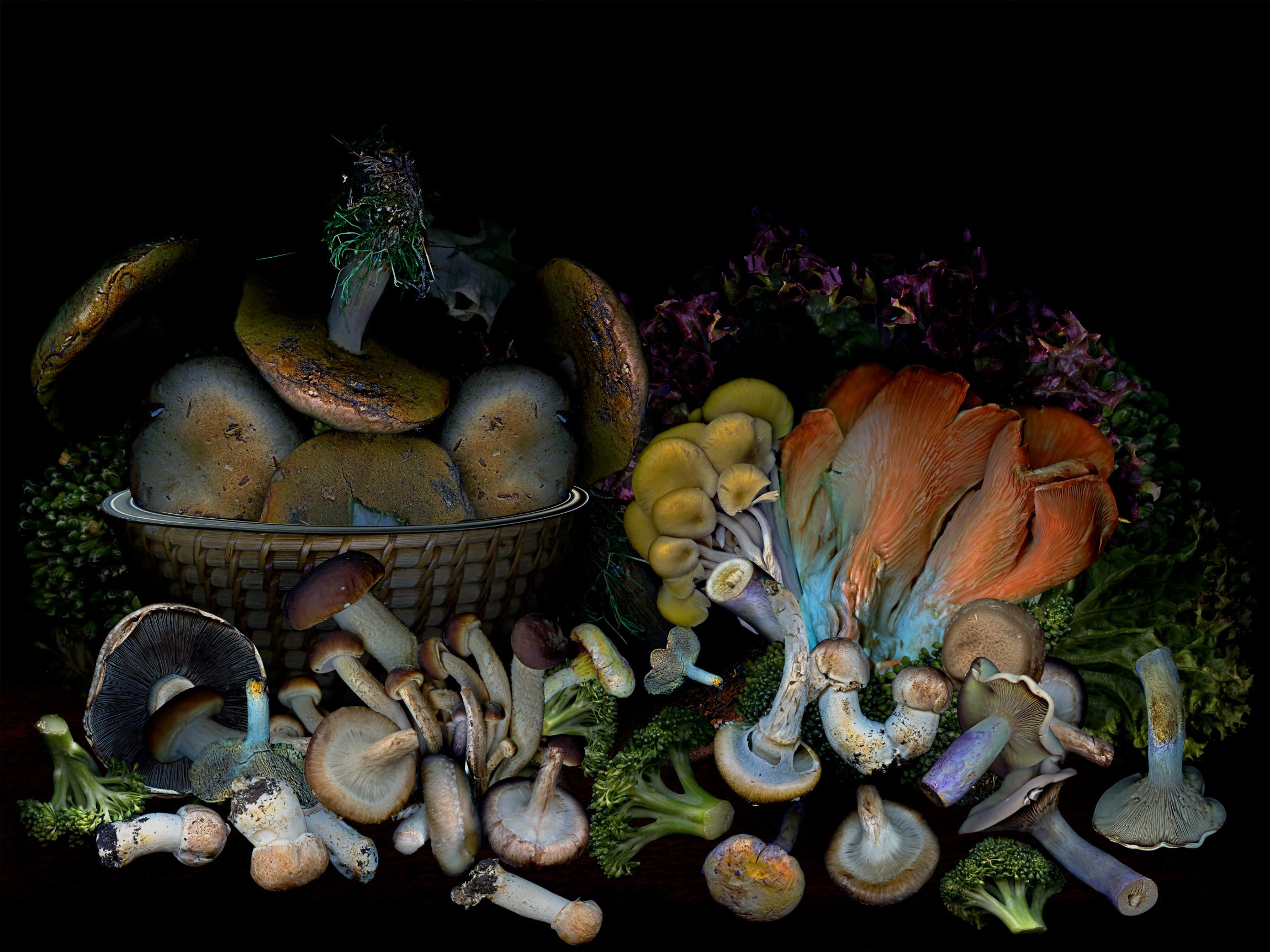 Zoltan Gerliczki Still-Life Photograph - Vegetables from my garden #3 Digital Collage Color Photograph