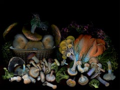 Vegetables from my garden #3 Digitale Collage-Farbfotografie