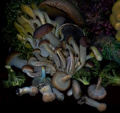 Vegetables from my garden #9 Digitale Collage-Farbfotografie