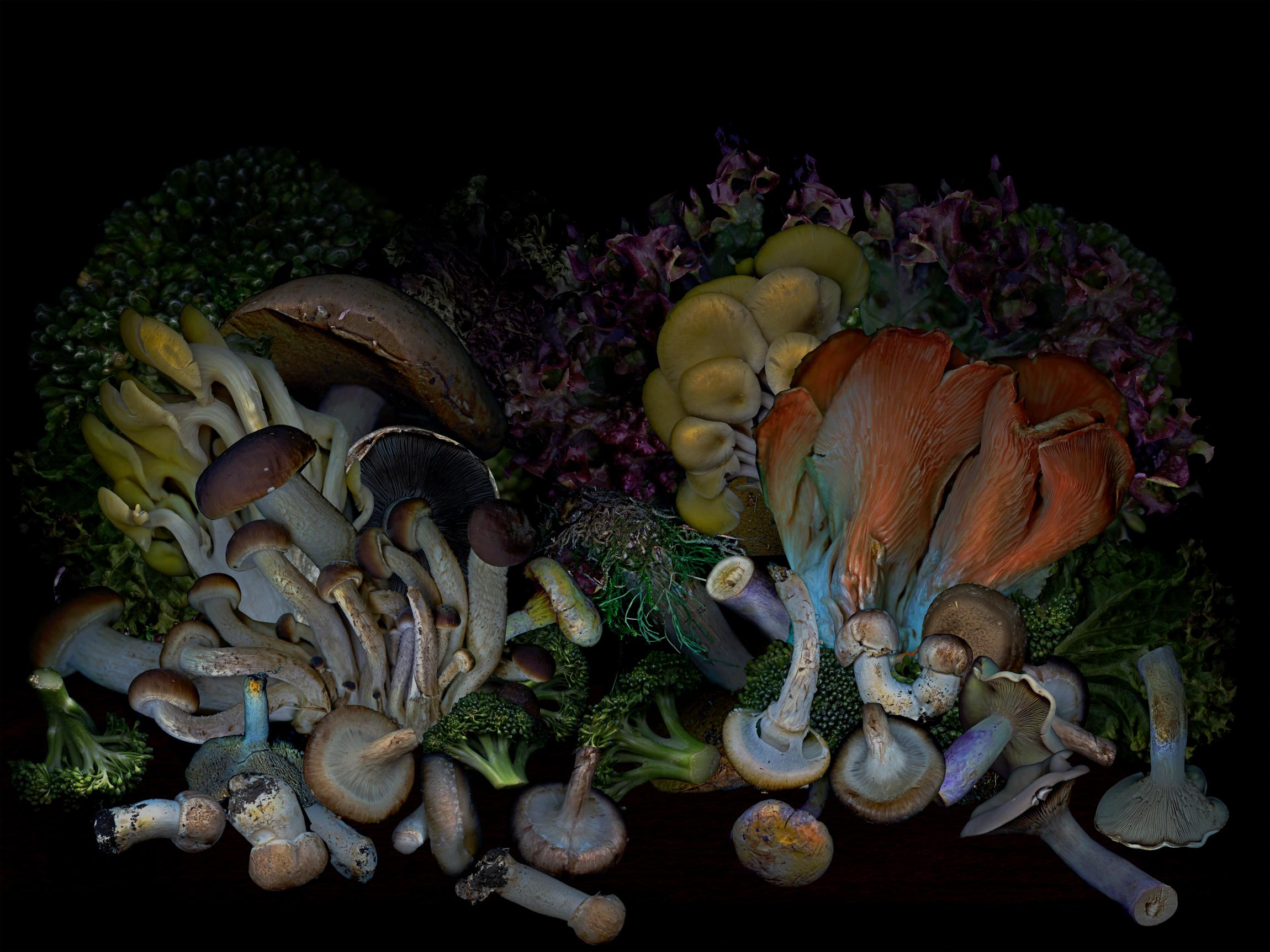 Zoltan Gerliczki Still-Life Photograph - Vegetables from my garden #9 Digital Collage Color Photograph