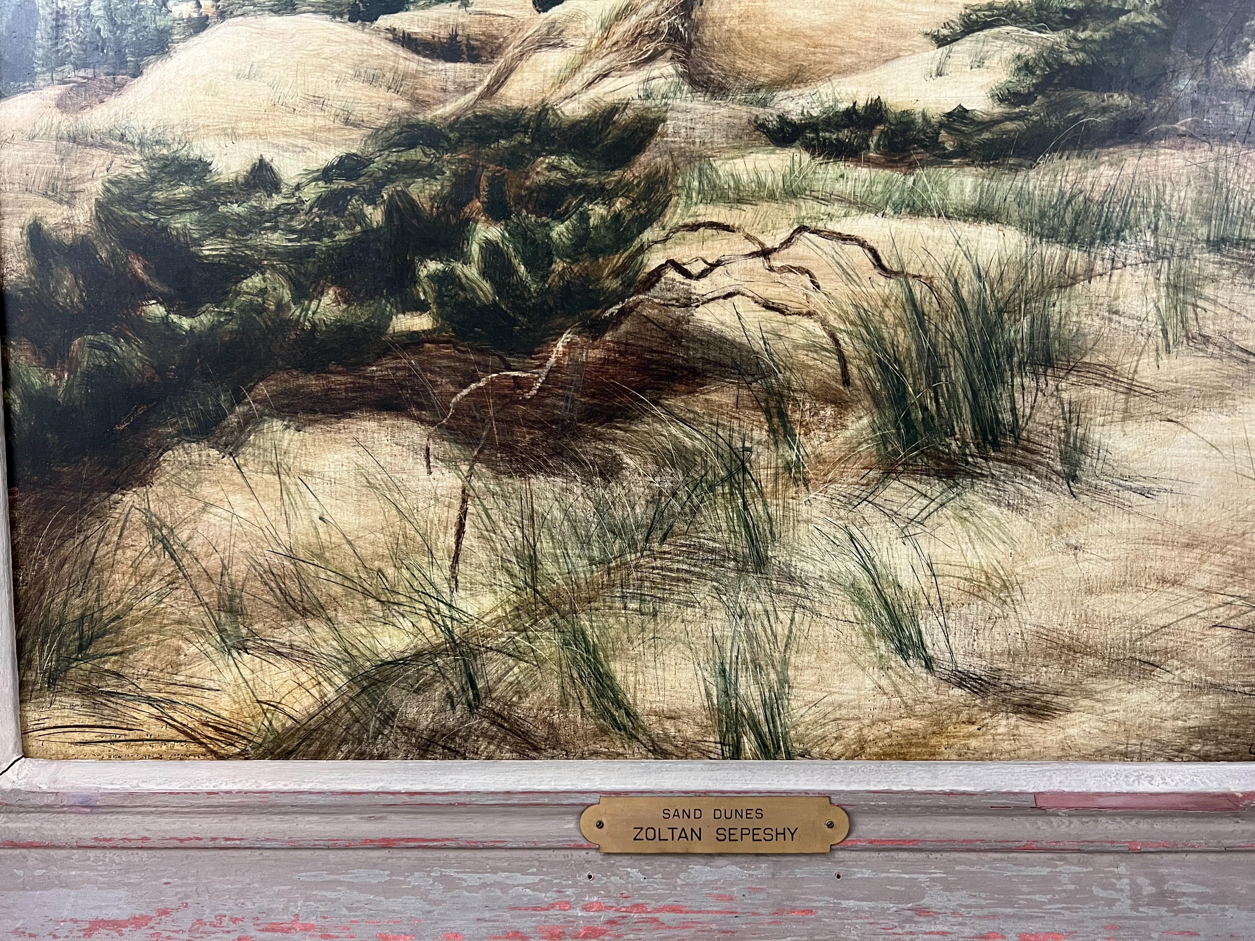 Il s'agit d'une importante peinture à la détrempe de grande taille représentant les dunes de sable qui bordent la côte du Michigan.  Zolton Sepeshy, qui vivait et peignait dans le Michigan, a également écrit un livre sur la peinture à la détrempe. 