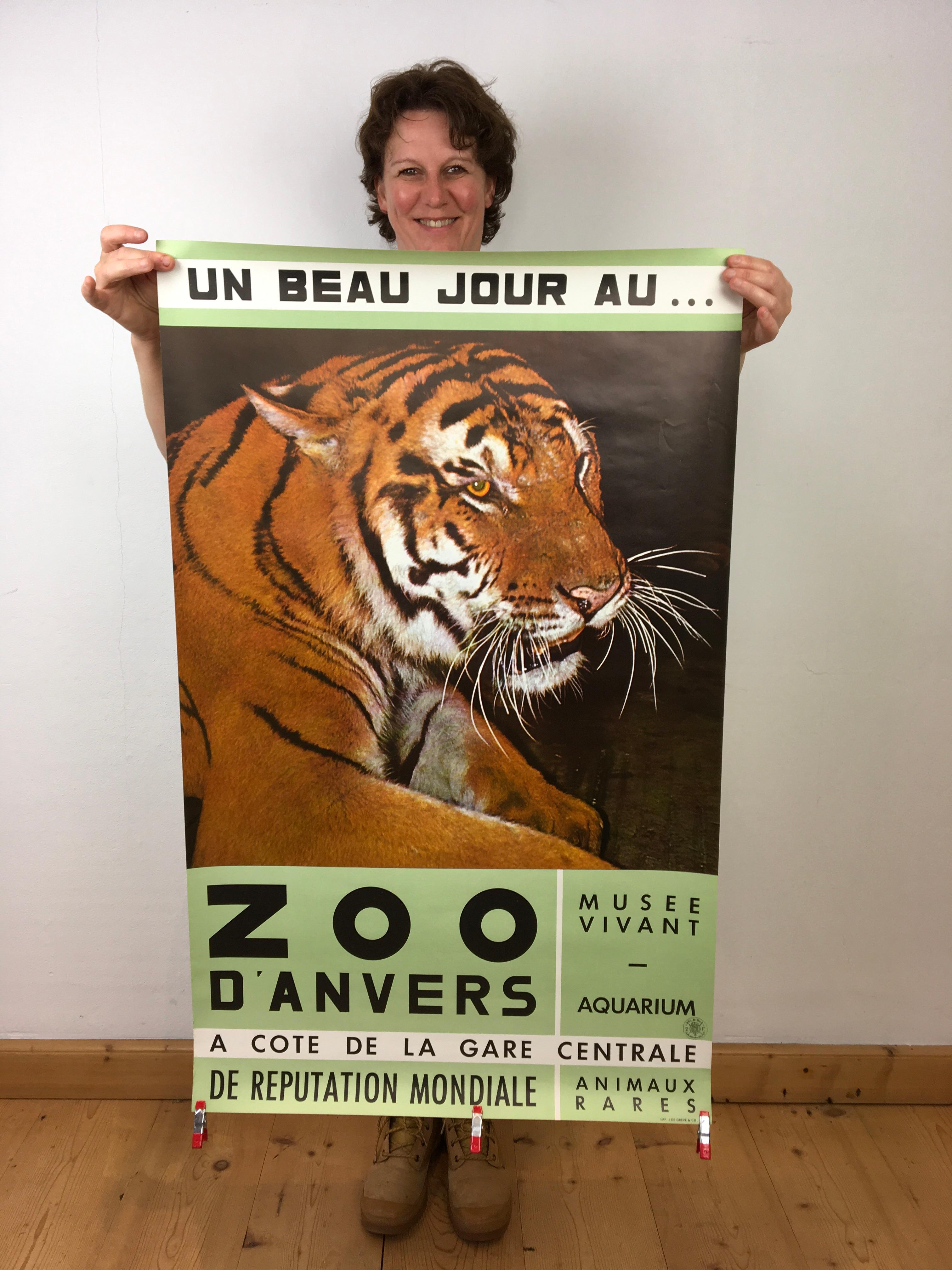 Antwerpener Zoo-Poster mit Tiger, 1960er-Jahre im Angebot 9