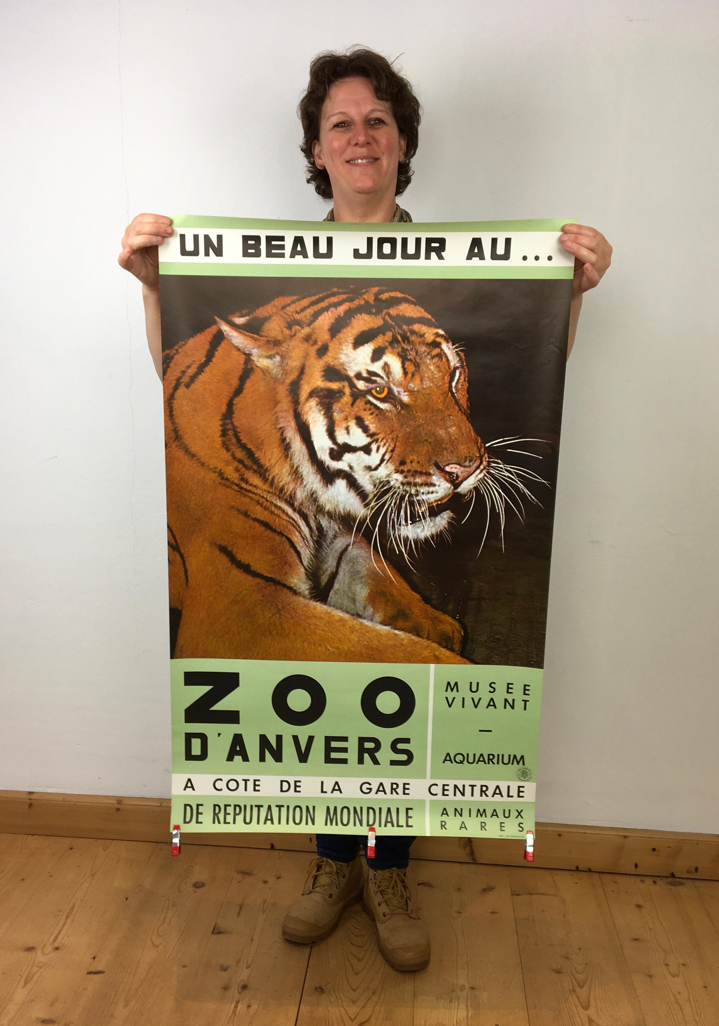 Zoo Antwerpen Poster aus den 1960er Jahren. 
Offsetlithografie mit Tigertier.
Entworfen von Hilde Van Loock, 
Fotografie von Victor Six 
gedruckt bei J. De Grève Brüssel. 
Titel: Einen schönen Tag im Zoo von Antwerpen! 

Dieser Vintage-Zoo-Poster -
