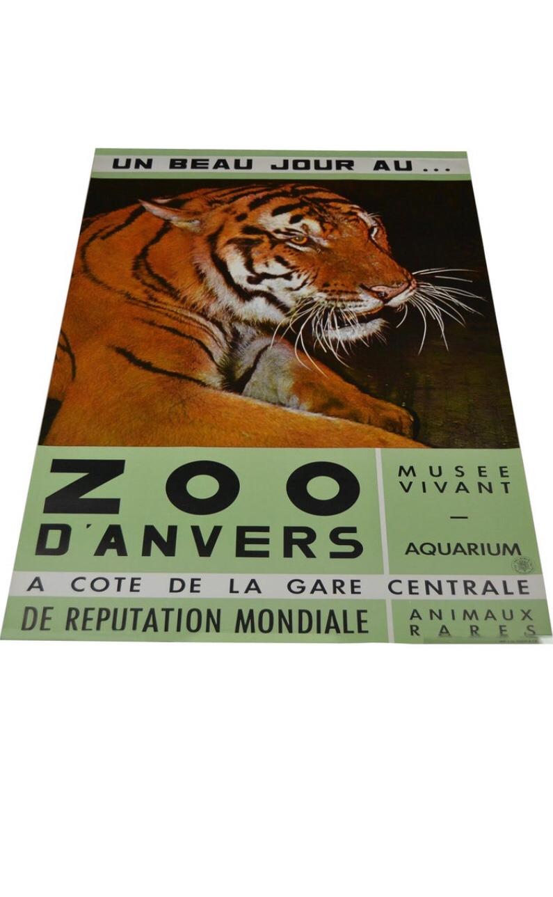 Belgian Zoo Antwerp Poster with Tiger, 1960s For Sale