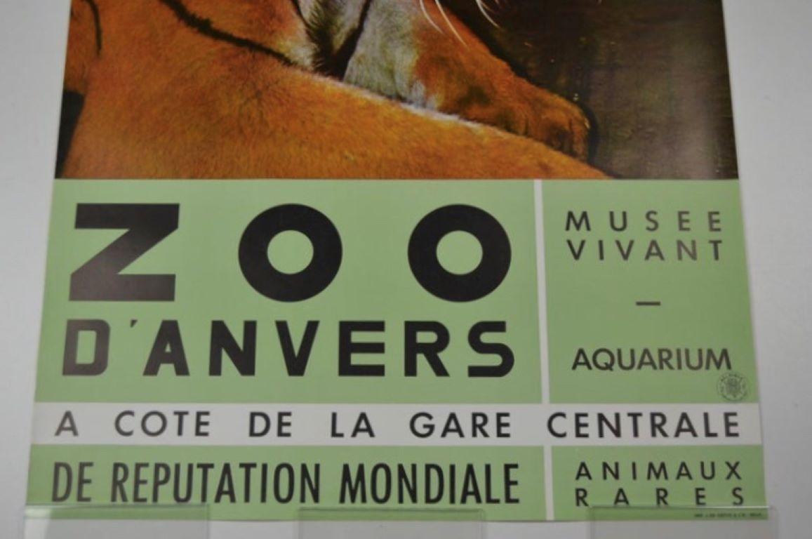 Zoo Antwerp Poster with Tiger, 1960s For Sale 1