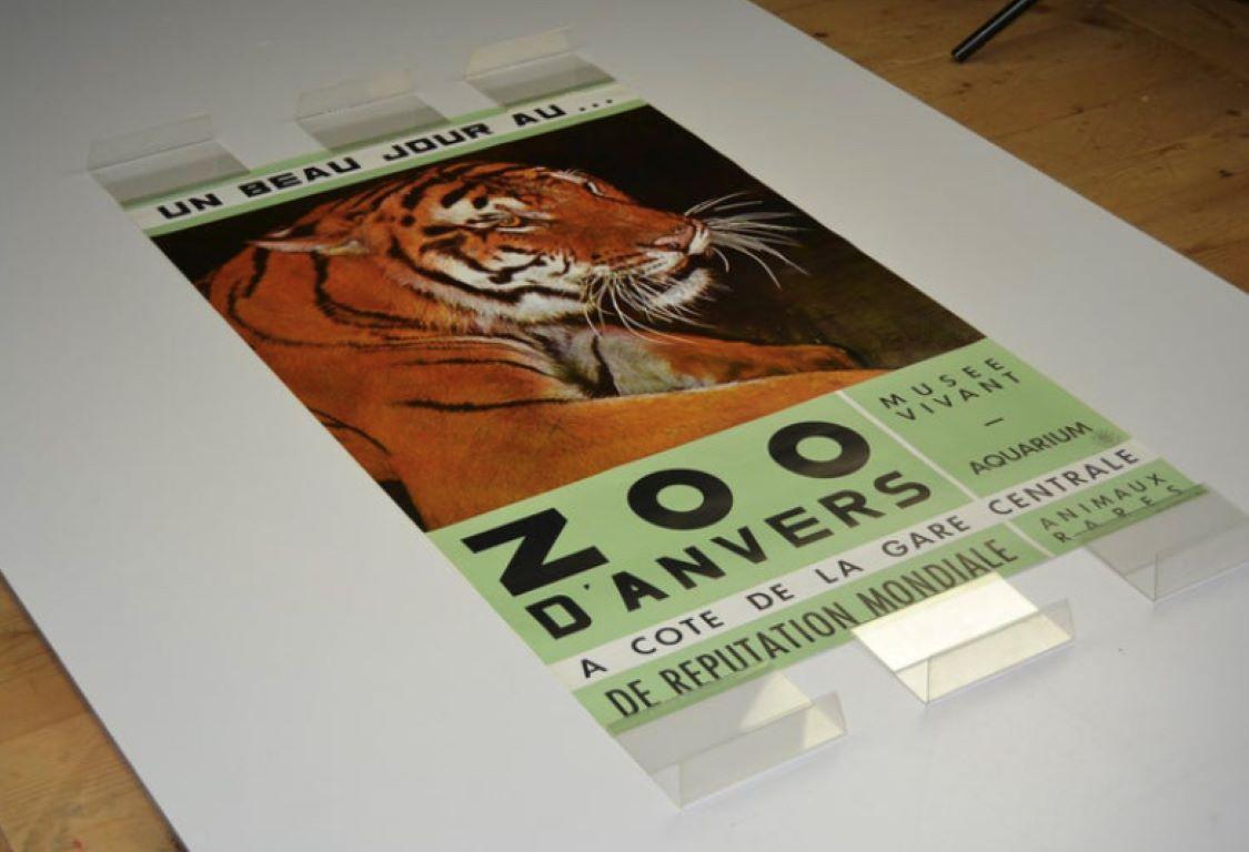 Antwerpener Zoo-Poster mit Tiger, 1960er-Jahre im Angebot 2