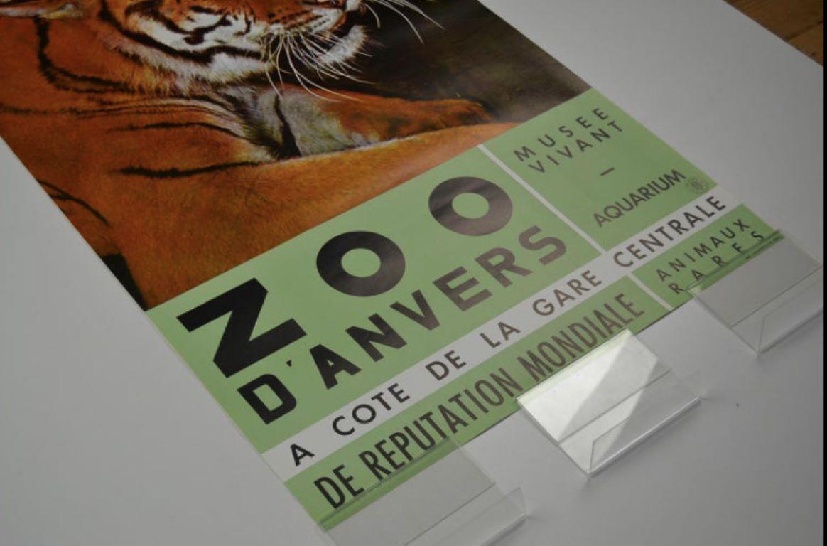 Antwerpener Zoo-Poster mit Tiger, 1960er-Jahre im Angebot 3