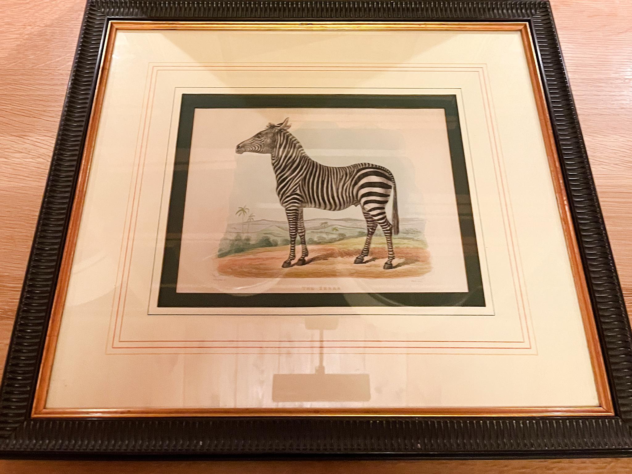 Cuatro aguafuertes en color que representan una colección de animales: una cebra, un par de leopardos, una pantera y un par de tigres, representados con colores vivos y delicados trazos. Los grabados originales fueron realizados por primera vez por