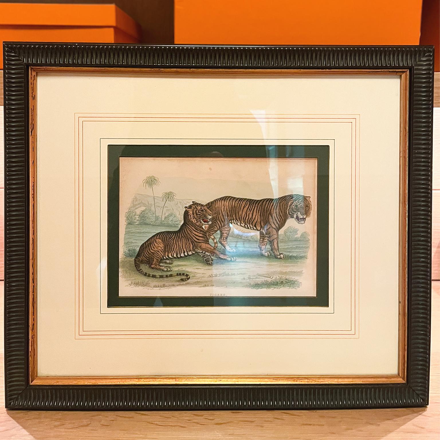 Grabados zoológicos de William Panormo - Lote de 4 en Bueno estado para la venta en New York, NY
