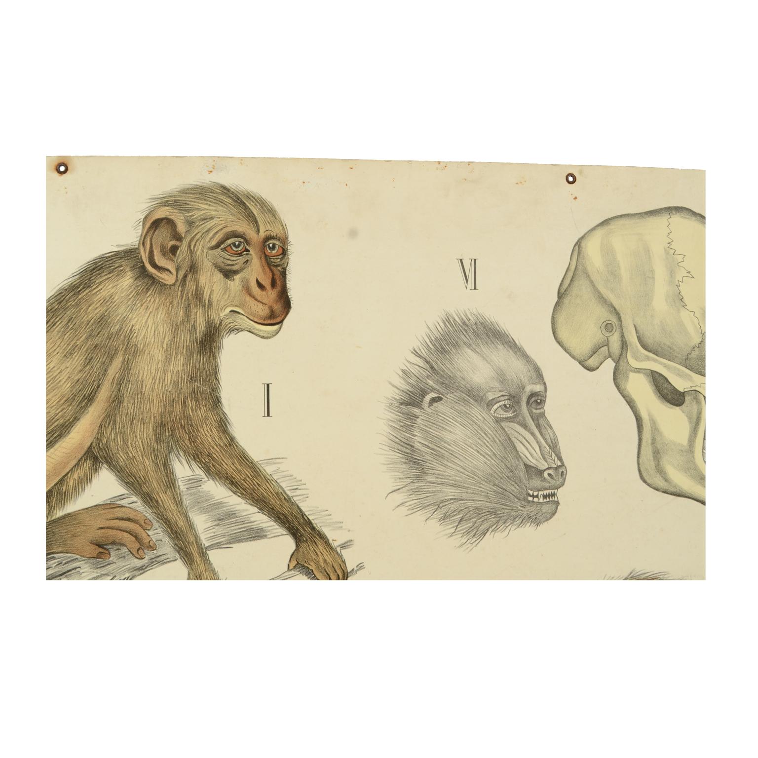 arctic monkeys lithograph