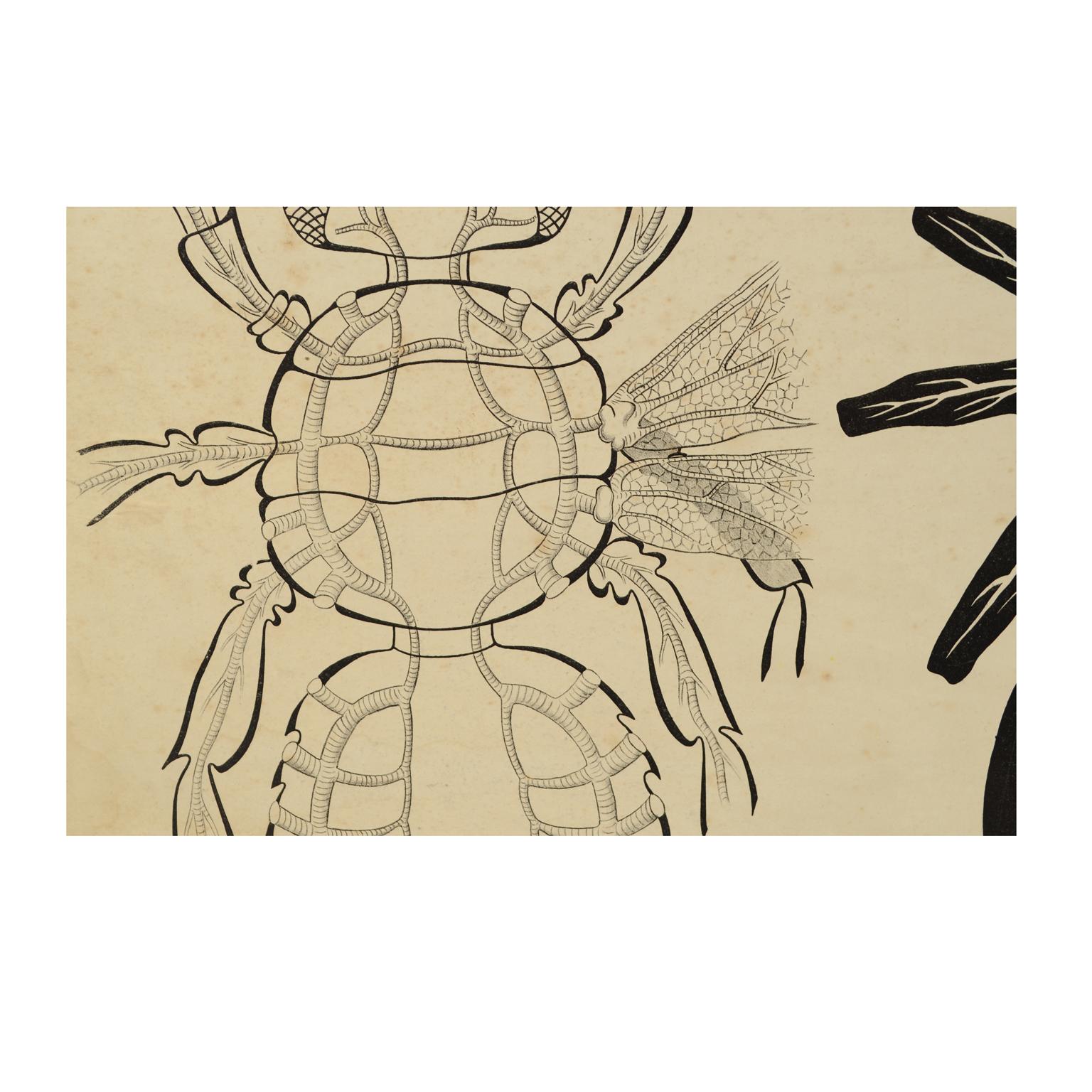 Early 20th Century Zoological Lithograph of a Cockroach 1925 Cardboard by H Aschehoug & Co Norway For Sale
