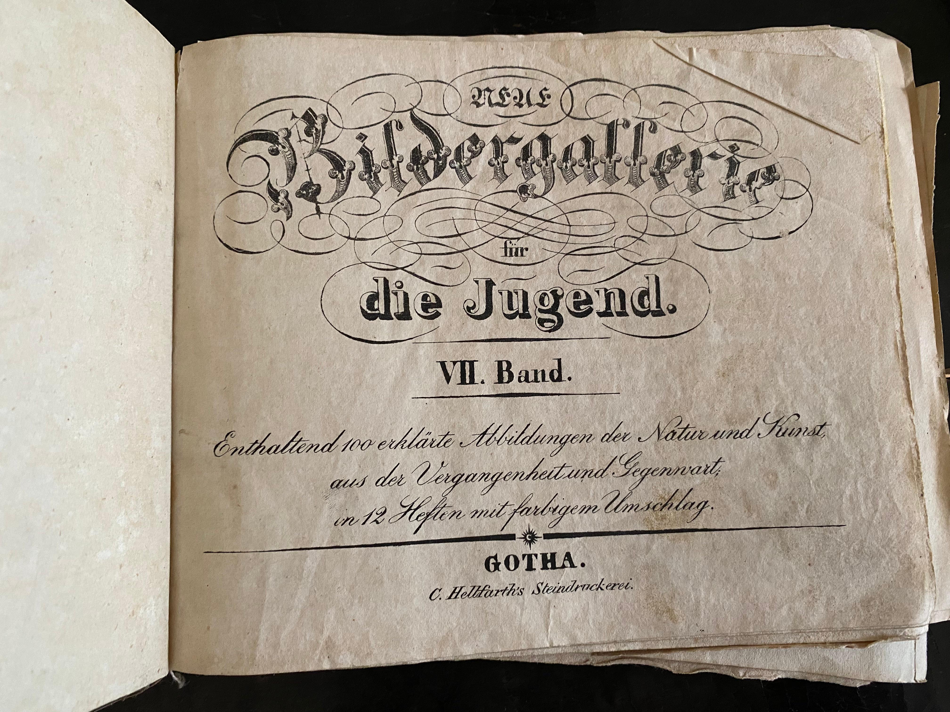 Zoologische Originallithographie mit „Der Gibbon-Monkey“ aus dem Jahr 1831-35 (Deutsch) im Angebot