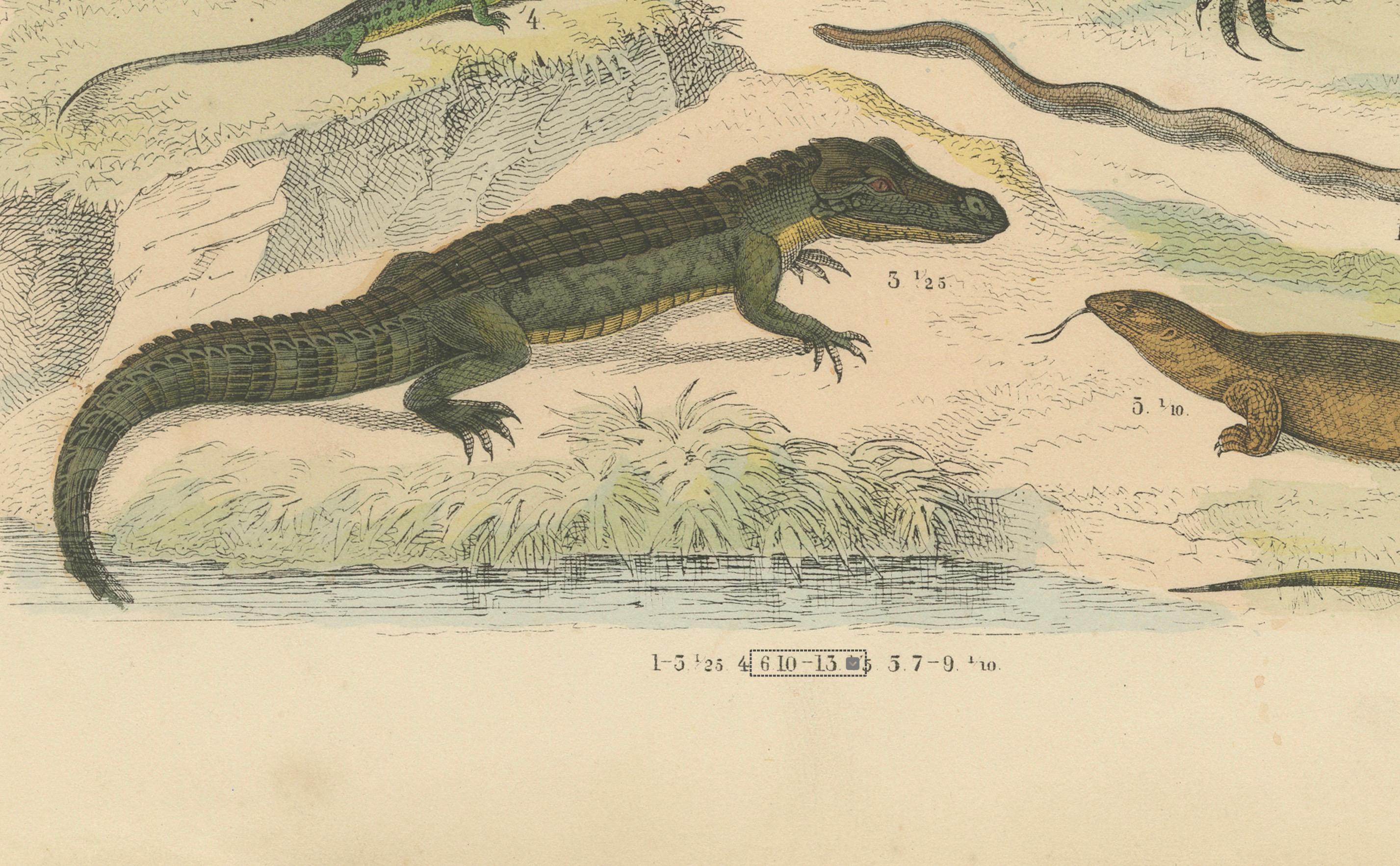 Zoology Print of Crocodiles, Monitor Lizards and Iguanas by T Bromme c1865

This original 19th-century hand-colored lithograph, published around 1865 by German geographer and naturalist Traugott Bromme, showcases a wide array of reptiles in vivid