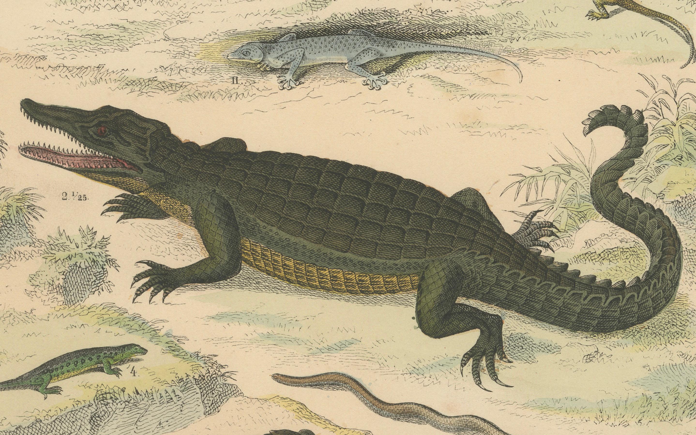 Allemand Zoology Print of Crocodiles, Monitor Lizards and Iguanas by T Bromme c1865 en vente