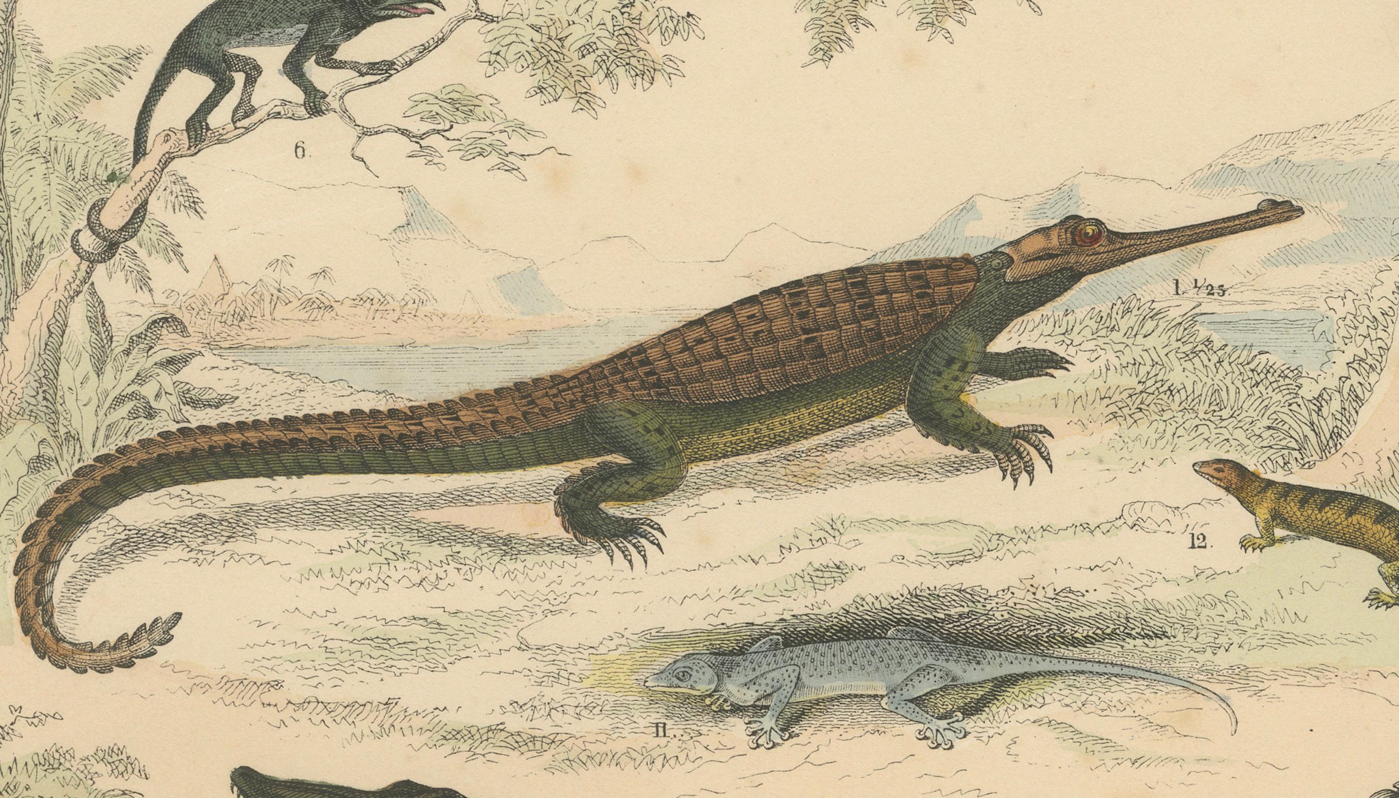 Zoology Print of Crocodiles, Monitor Lizards and Iguanas by T Bromme c1865 Bon état - En vente à Langweer, NL