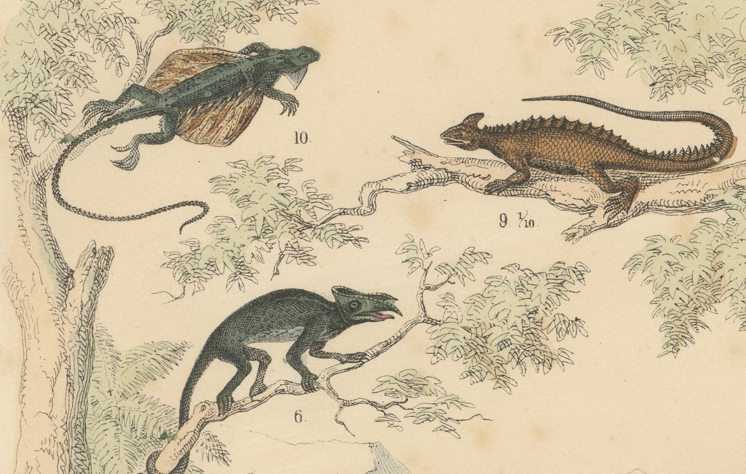 Papier Zoology Print of Crocodiles, Monitor Lizards and Iguanas by T Bromme c1865 en vente