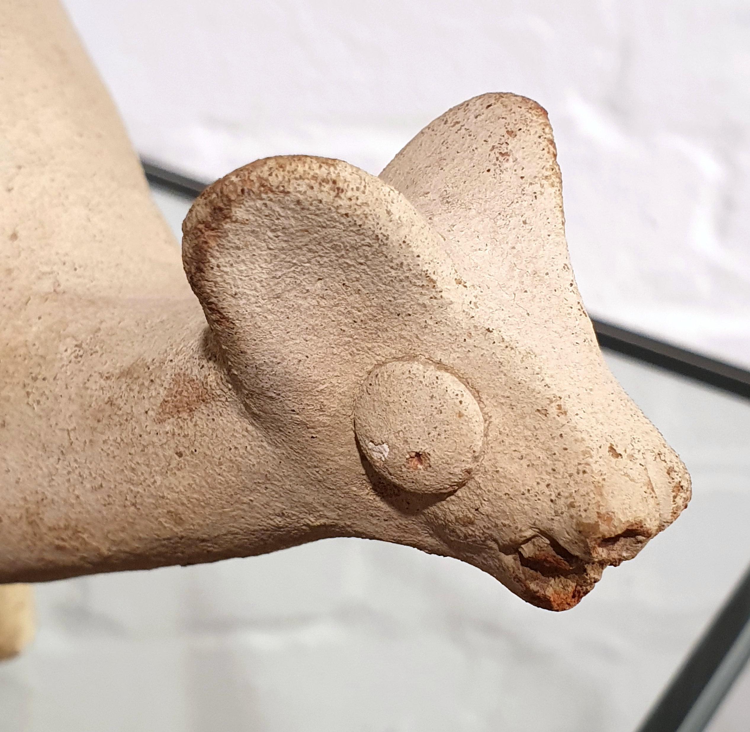 This zoomorphic vessel in the shape of a llama with an elongated
globular body is from the Chancay civilisation, dated between 1000 and 1400 AD.
The Chancay were a pre-Columbian archaeological civilisation which developed between the valleys of