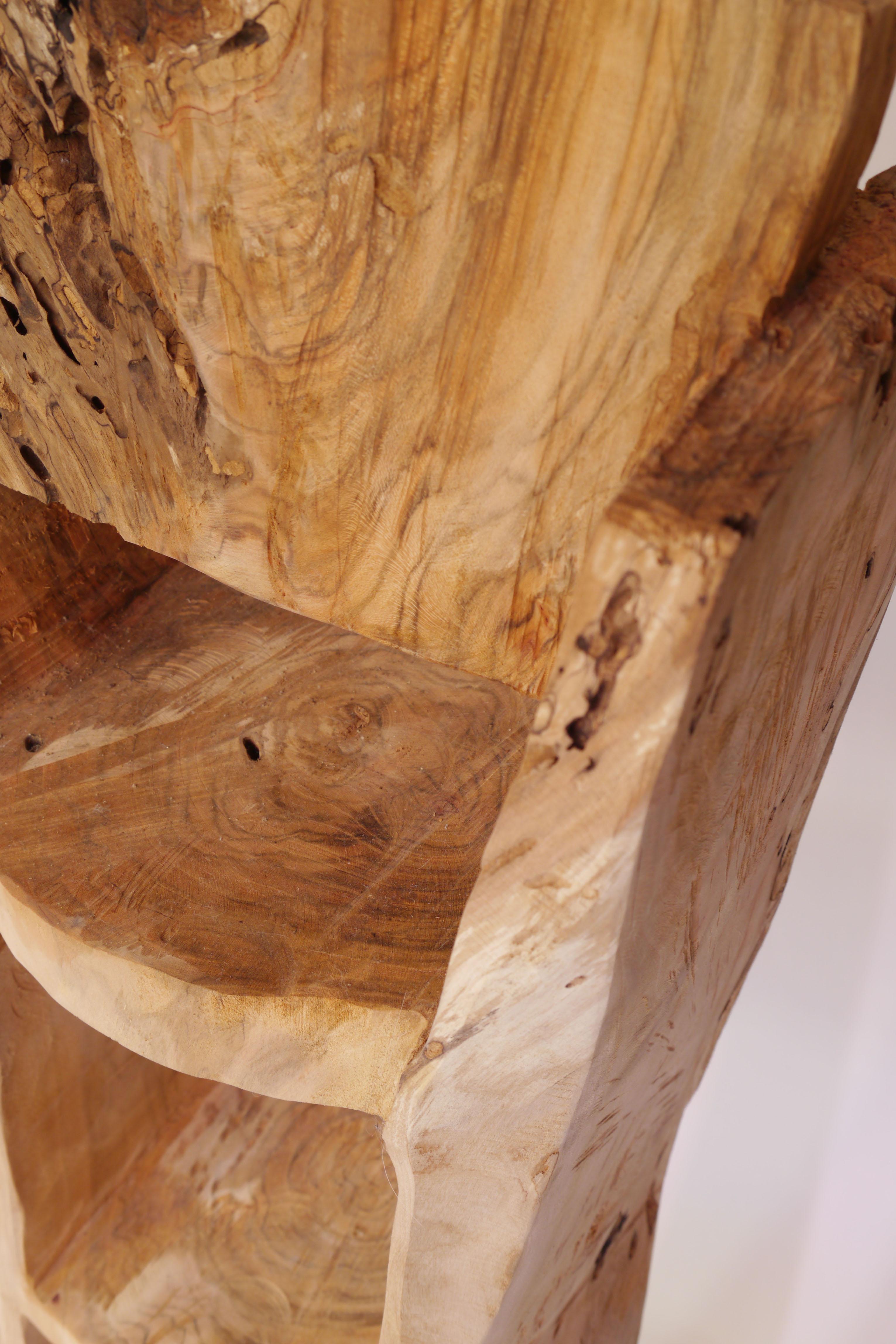 XXI secolo e contemporaneo Zougei wold wood  Scultura Scaffale Libreria 13 in vendita