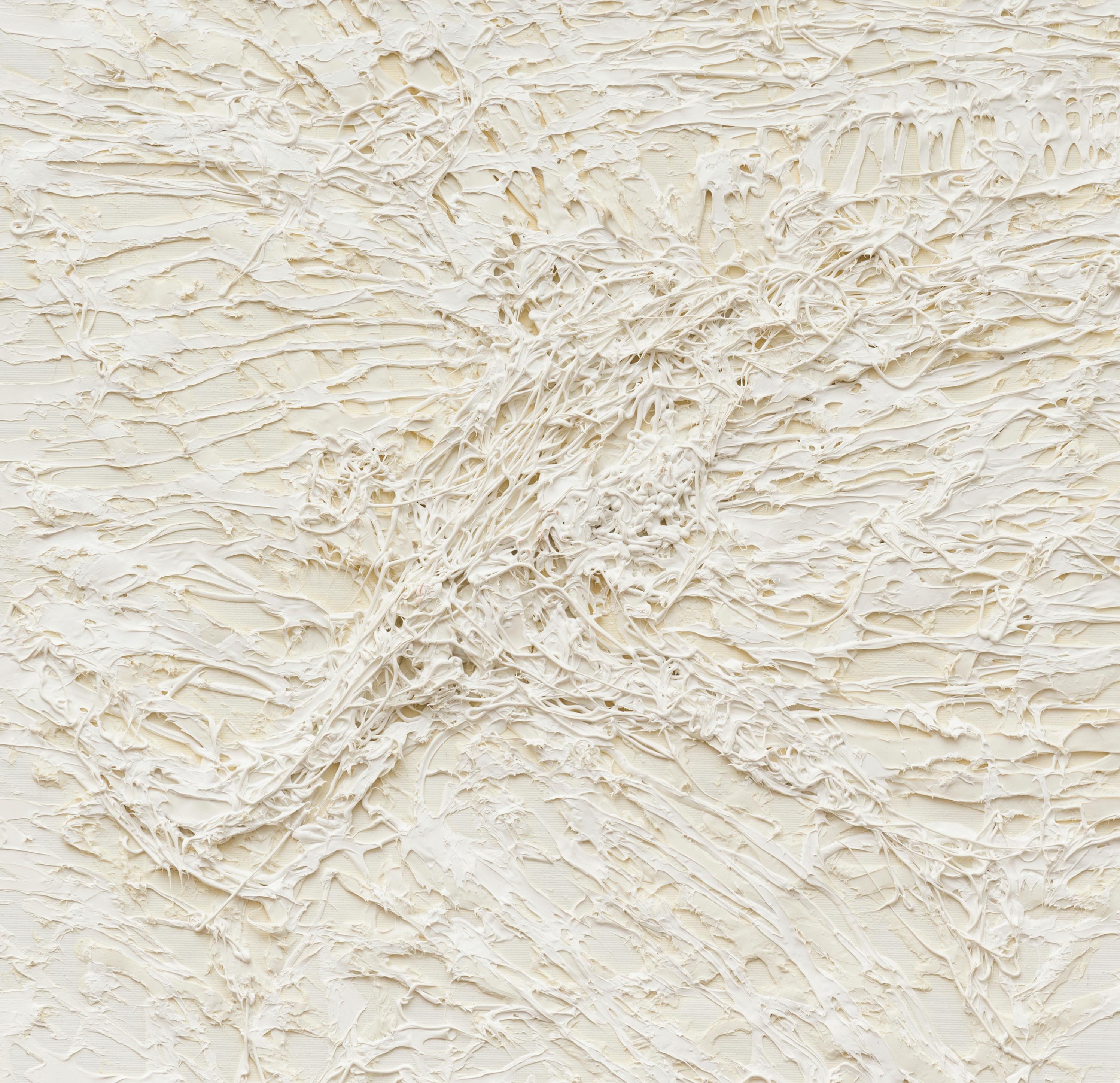 Senza titolo 01 - Contemporaneo, Pittura astratta, Bianco, Monocromatico, Organico - Painting di Zsolt Berszán