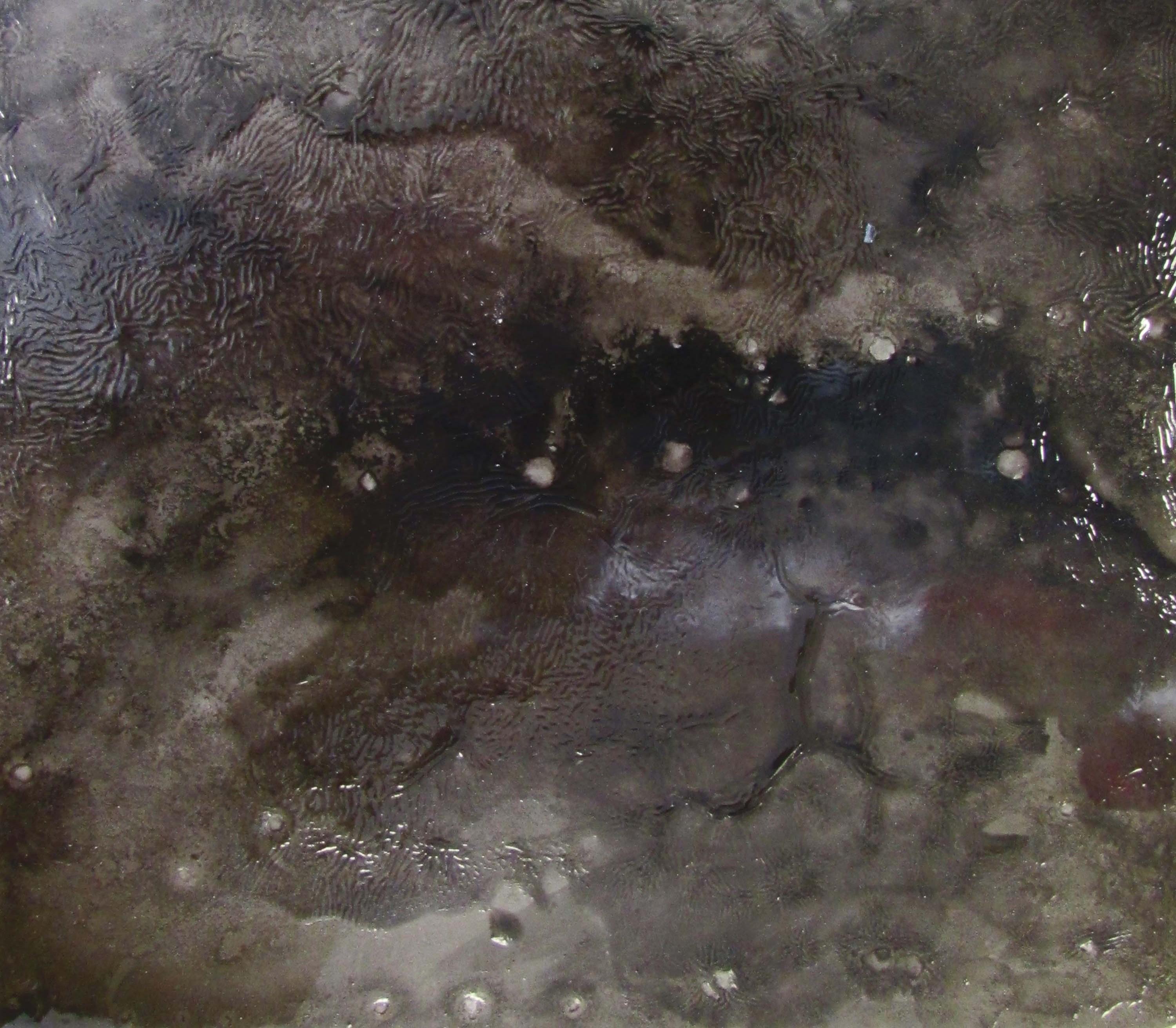 Ohne Titel 01 [Dissecting the Unknown 01] - Zeitgenössisch, abstrakt, schwarz, organisch (Abstrakt), Painting, von Zsolt Berszán