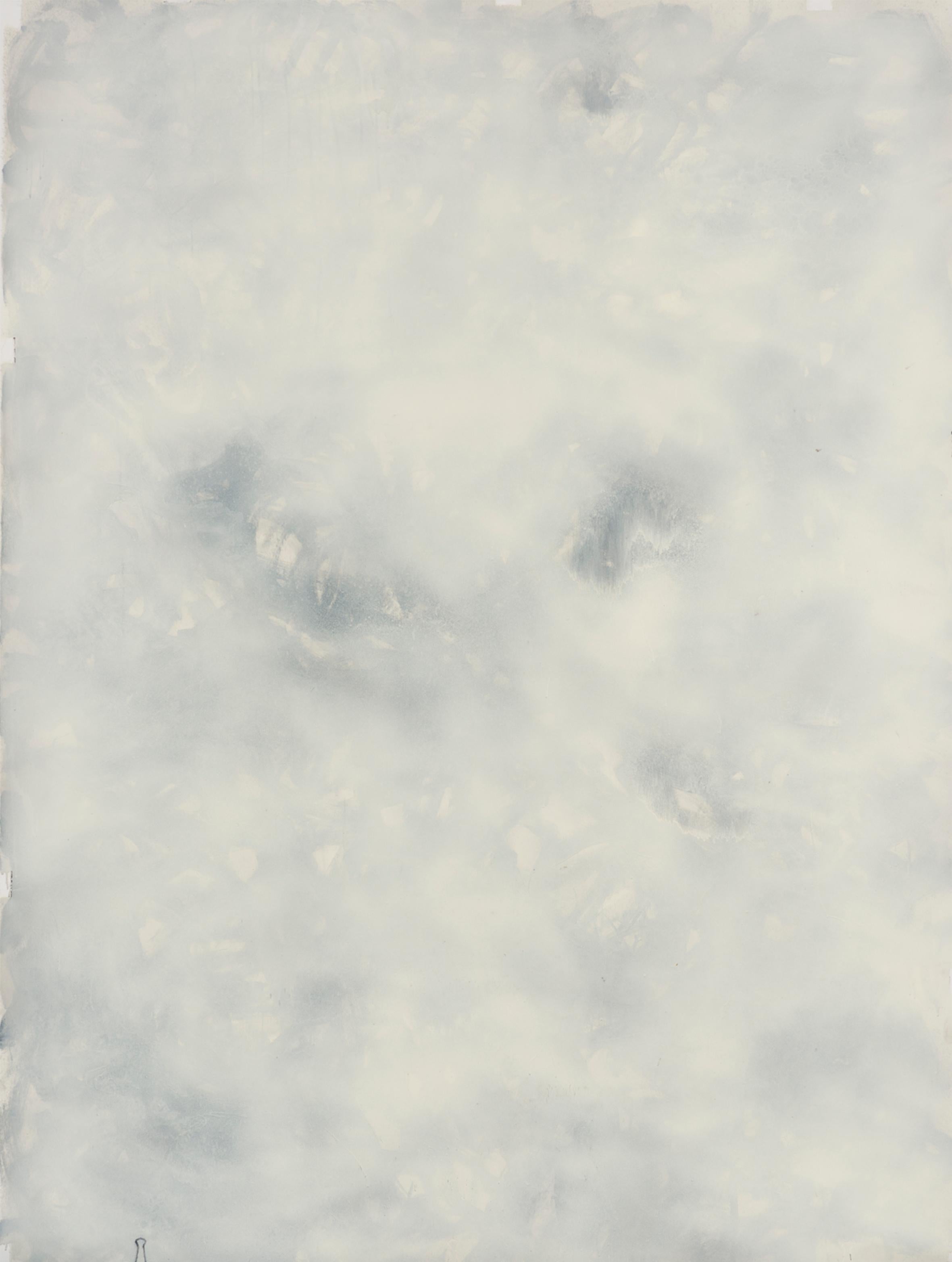 Untitled 015 [Remains of the Remains 015], 2019
oil on canvas
78 47/64 H x 59 1/16 W in
200 H x 150 W cm

The large-sized paintings, signed by Zsolt Berszán, addresses the subject of death in terms of the remains of decaying bodies. The surface of