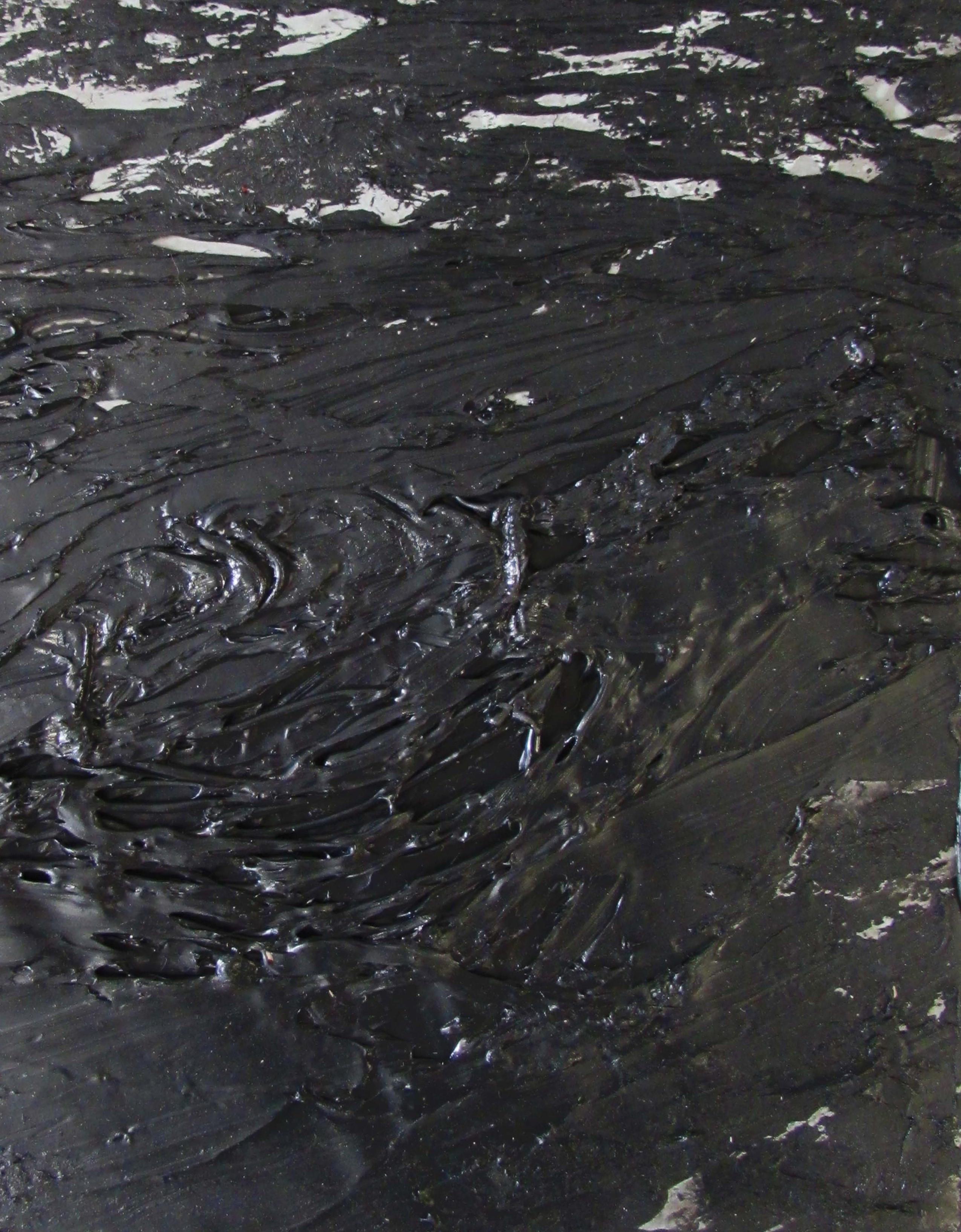 Sans titre 11 [Dissecting the Inknown 11] - 21e siècle, noir, abstrait, organique en vente 1