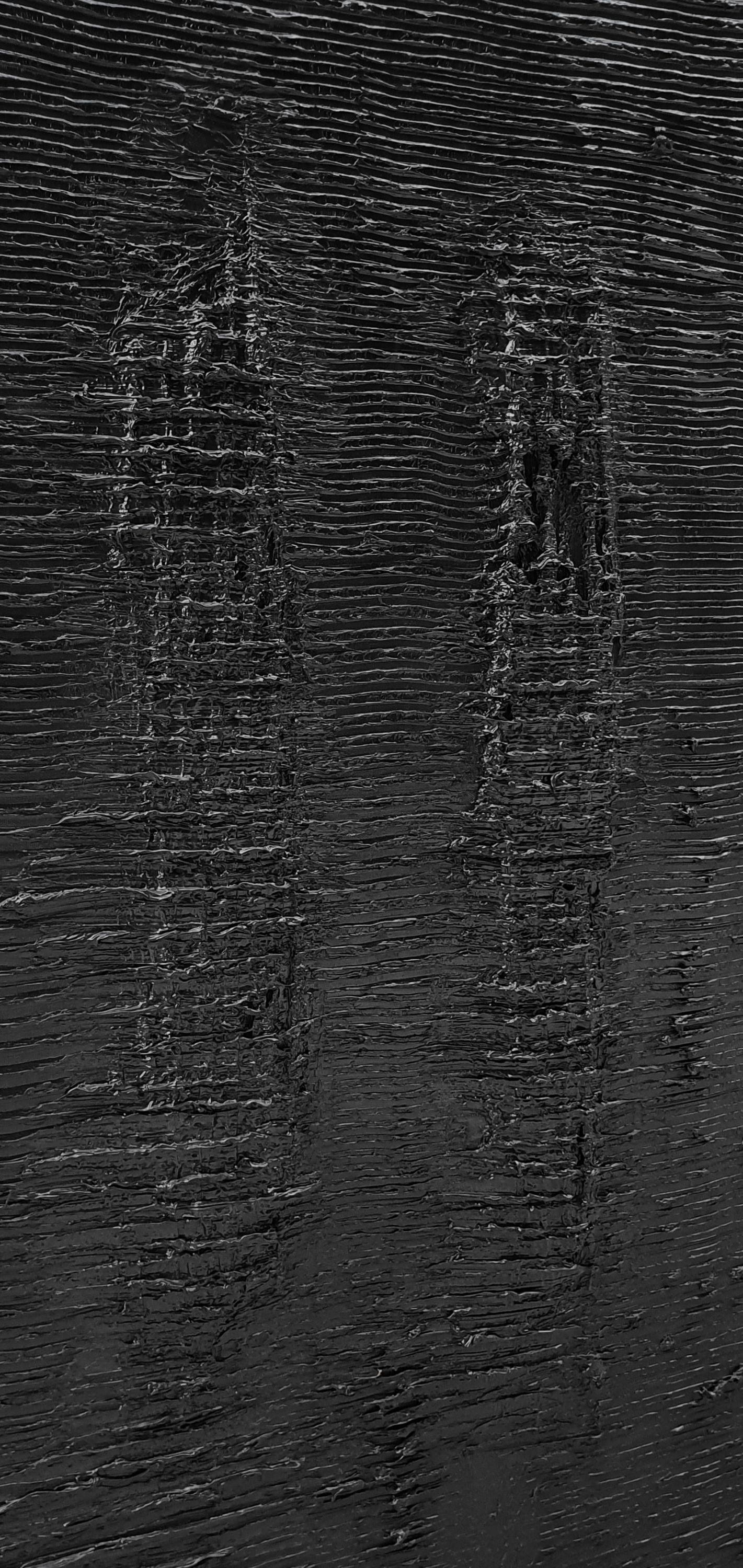 Senza titolo 4 - Contemporaneo, Nero, Monocromo, Pittura astratta, Organico, Vita in vendita 3