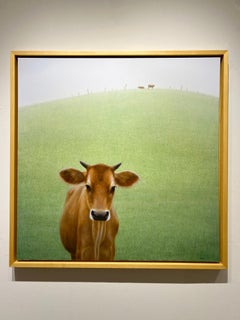 Zu Sheng Yu, "Pastoreo asombroso", Pintura al óleo sobre lienzo, 36x36, Paisaje de campo de vacas