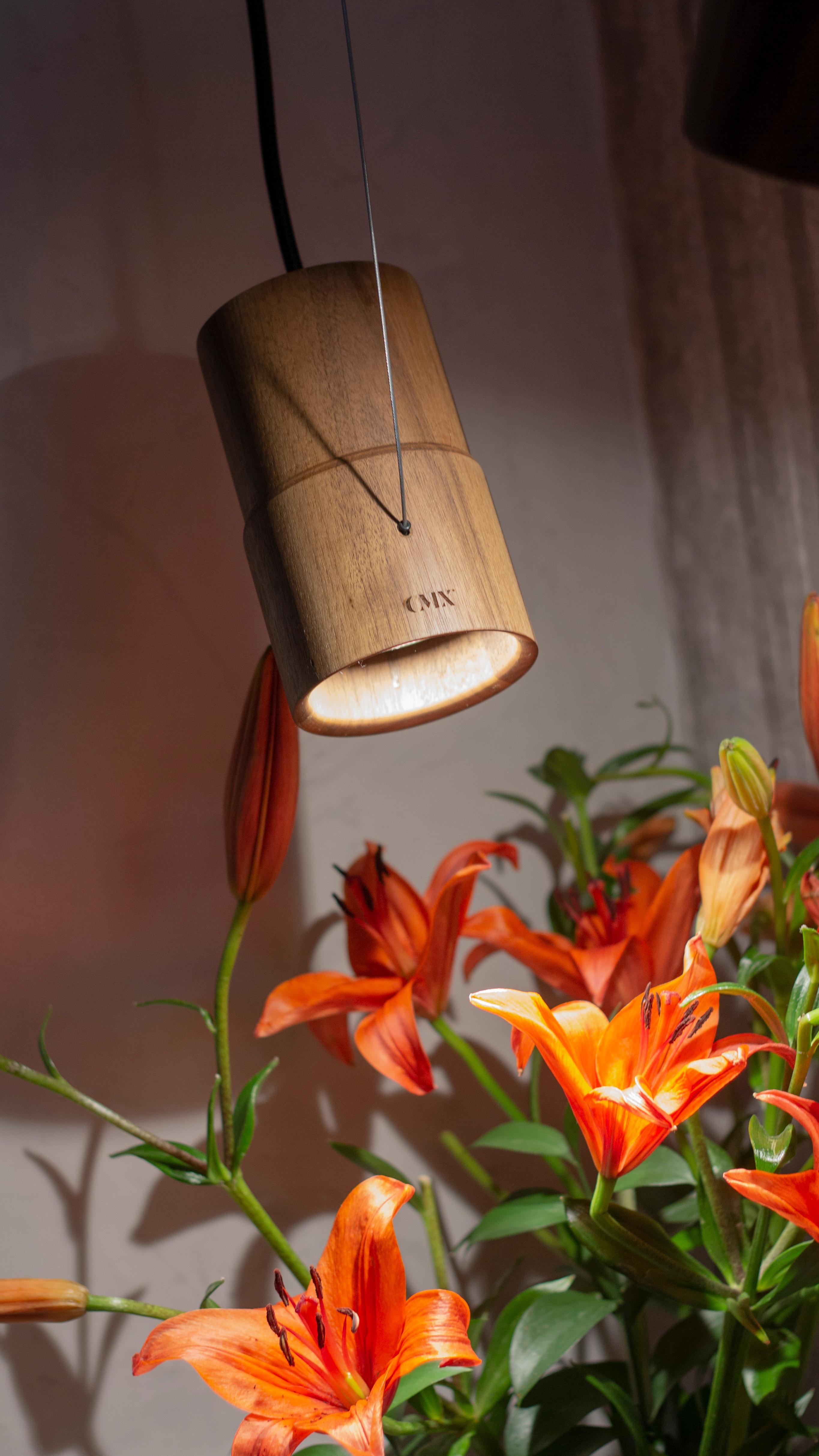 XXI secolo e contemporaneo Zucc, Set di 2 lampade a sospensione in legno massello tornito di CMX in vendita