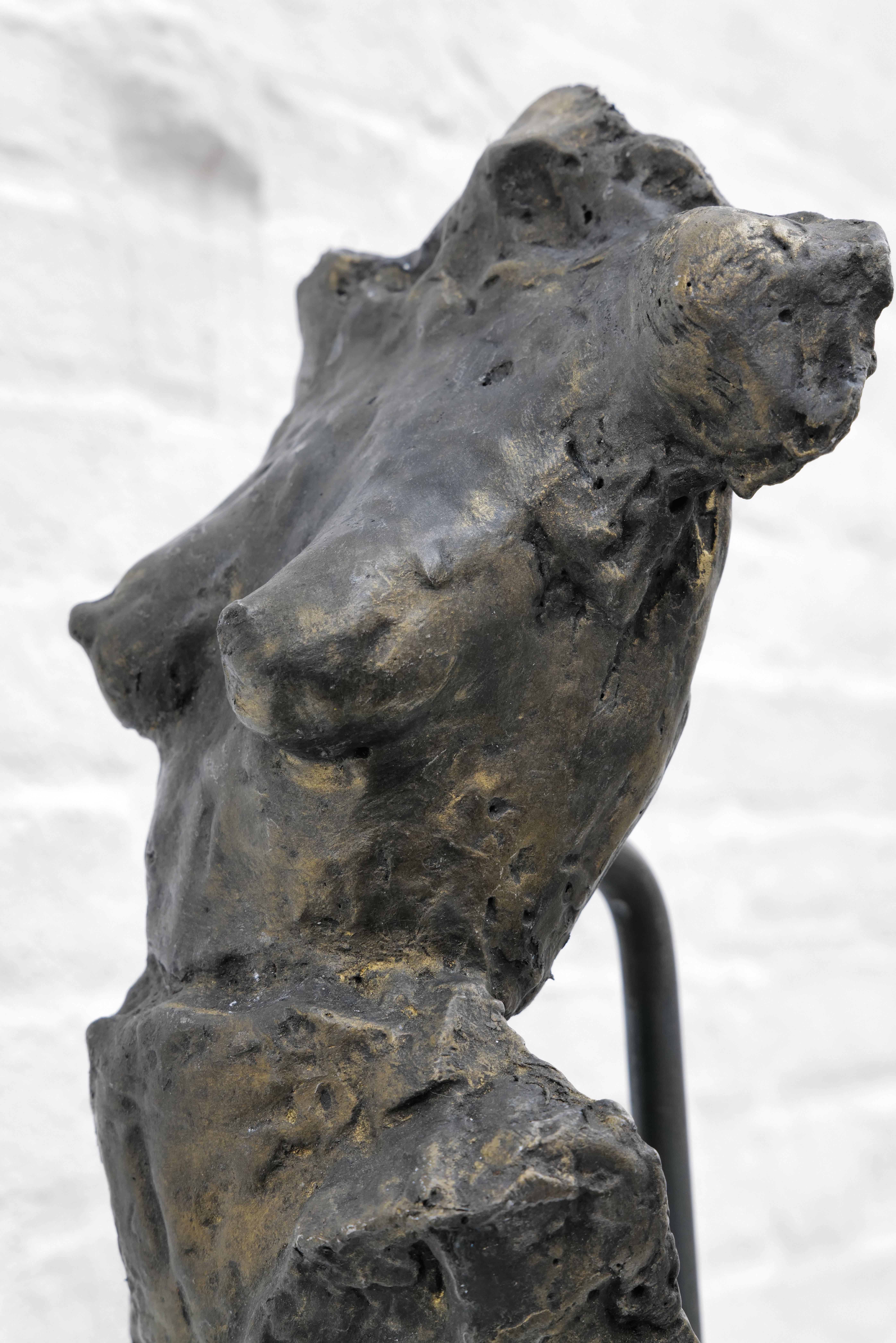 Torso femenino - Sculpture Contemporáneo de Zura