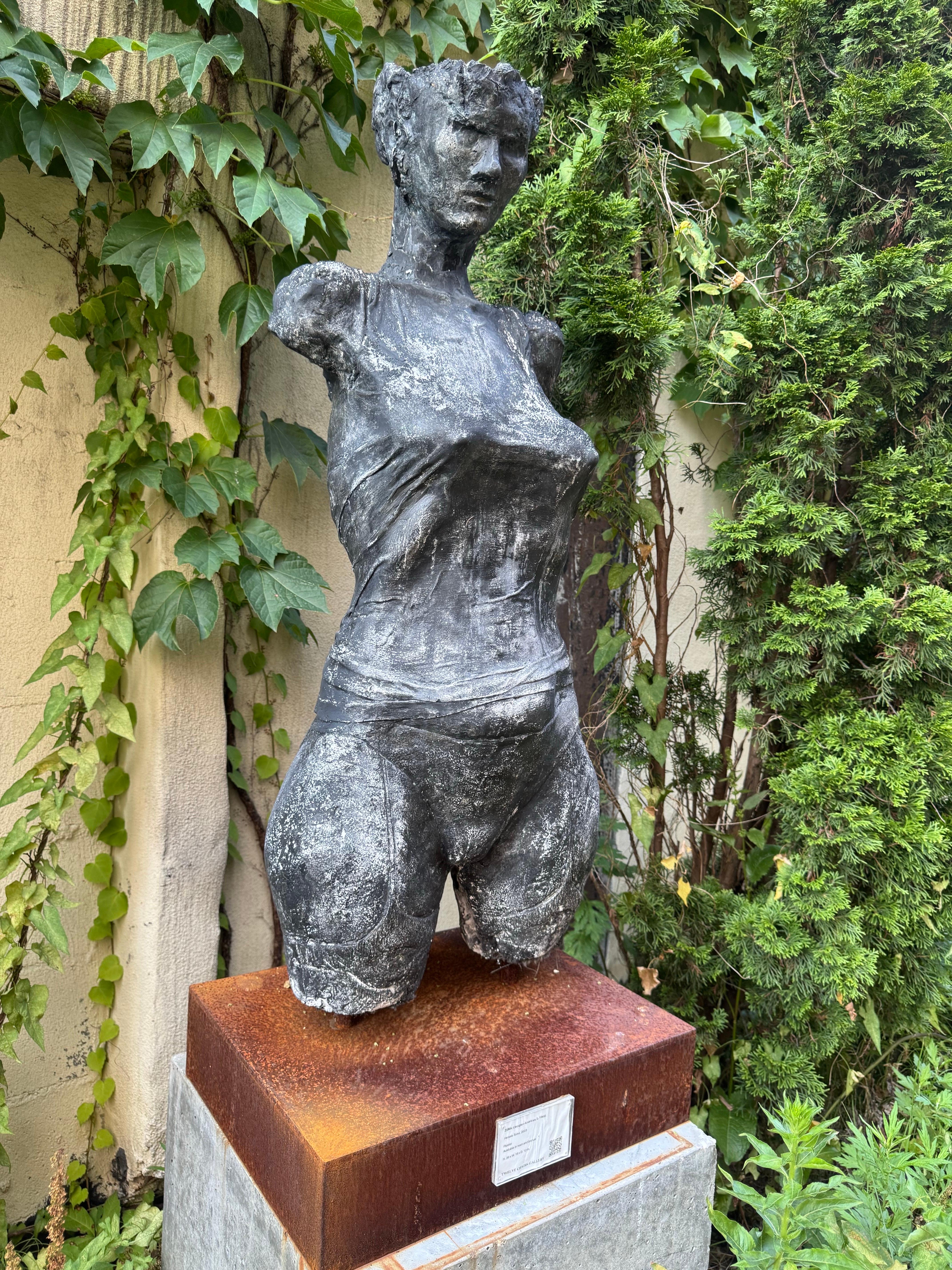 Weiblicher Torso in Lebensgröße im Angebot 4