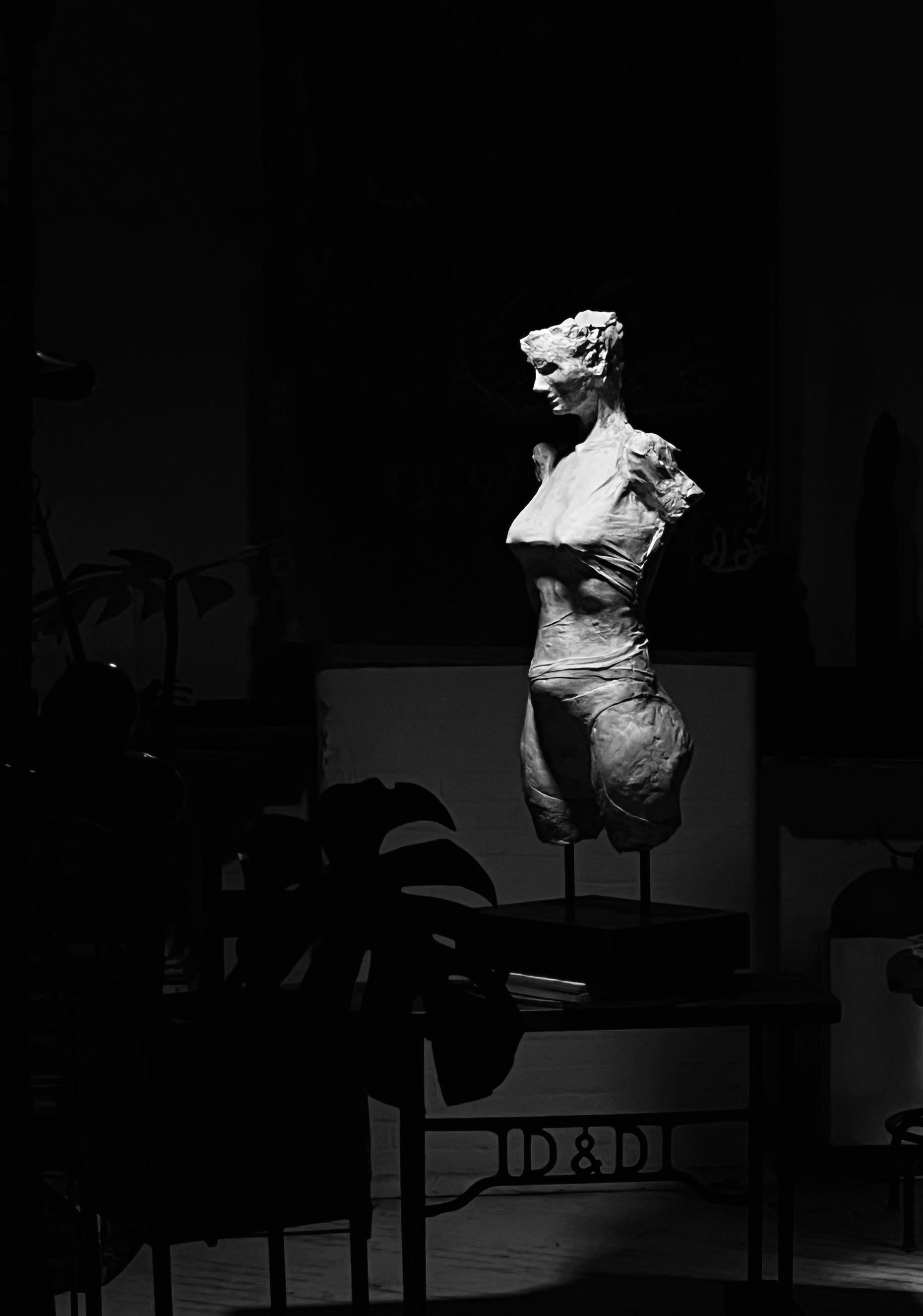 Life Size Female Torso en venta 1