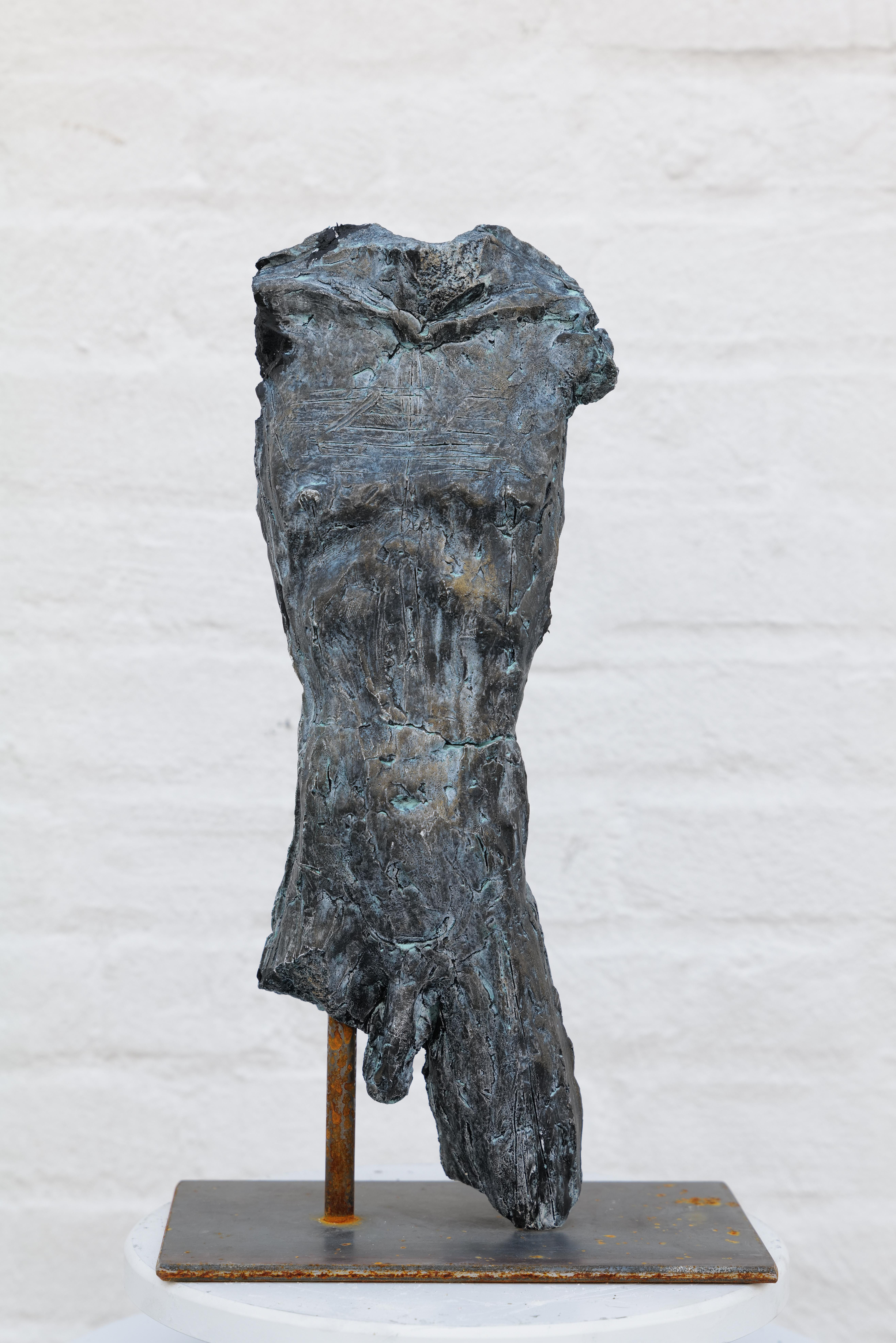 Un potente studio di forma e presenza, il Torso maschile di Zura distilla la figura umana alla sua struttura essenziale. Scolpita con una mano cruda ed espressiva, l'opera cattura sia la forza che la vulnerabilità. La texture della sua superficie