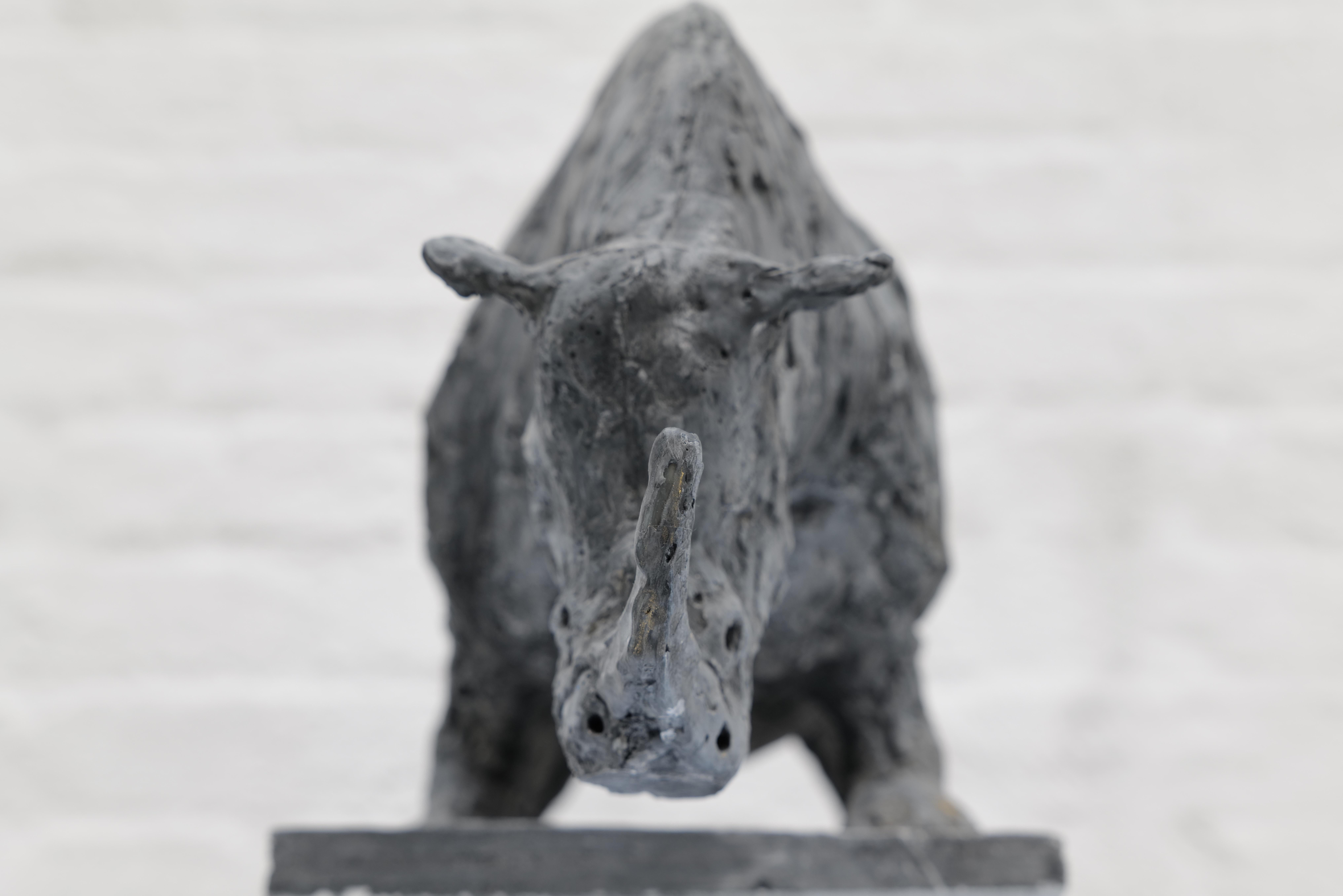 Nördliches Breitmaulnashorn – Sculpture von Zura