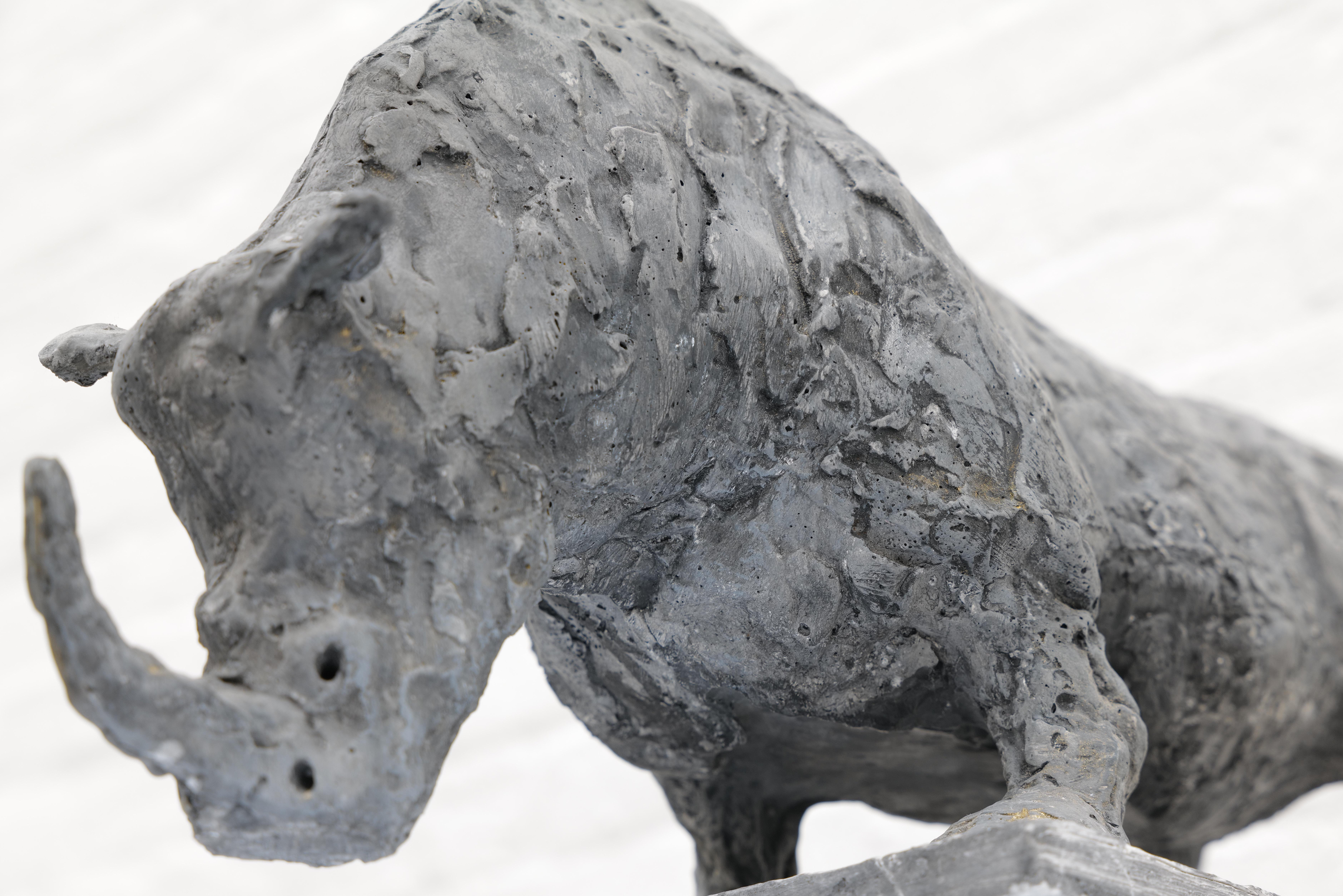 Nördliches Breitmaulnashorn (Zeitgenössisch), Sculpture, von Zura