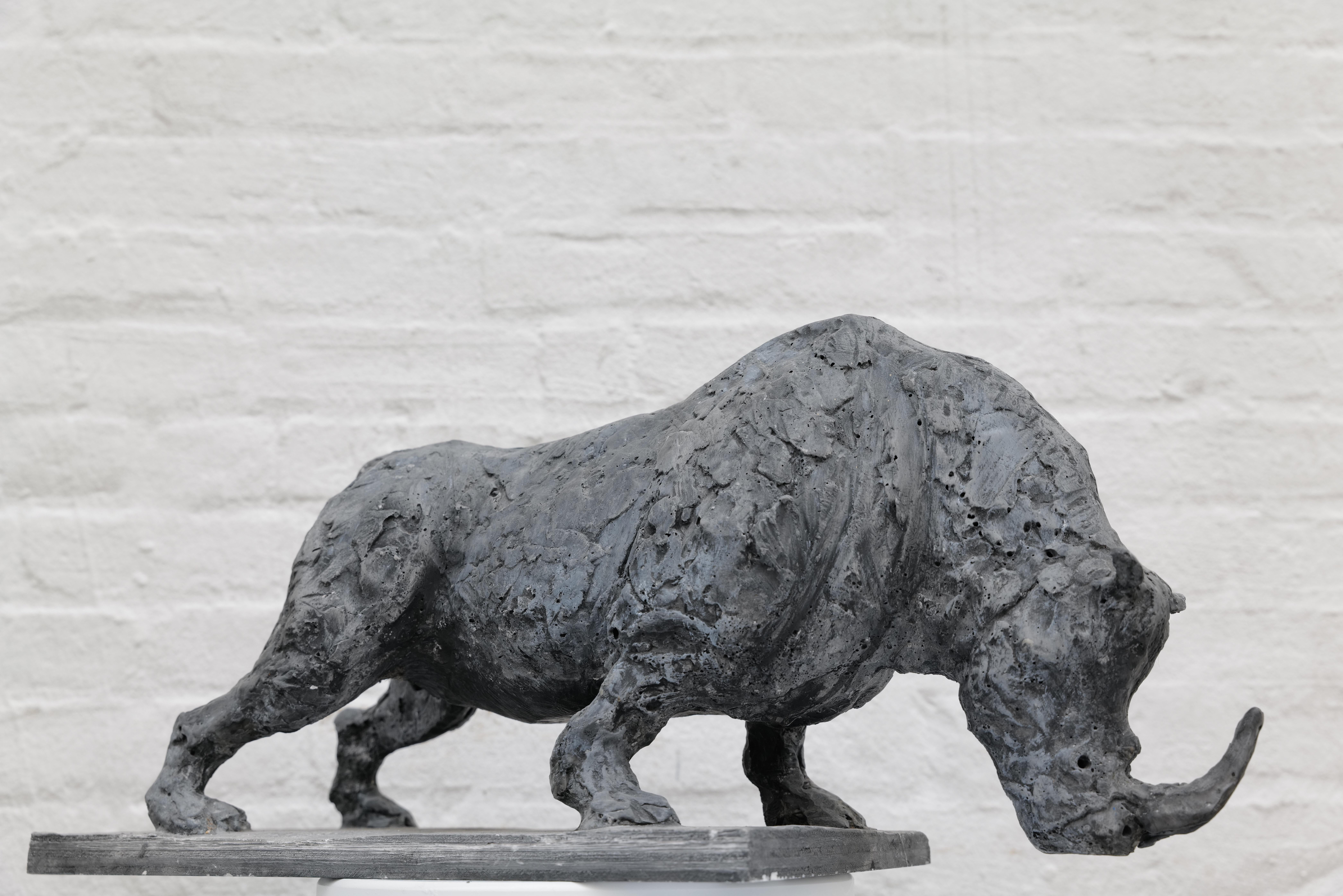 Nördliches Breitmaulnashorn (Gold), Figurative Sculpture, von Zura