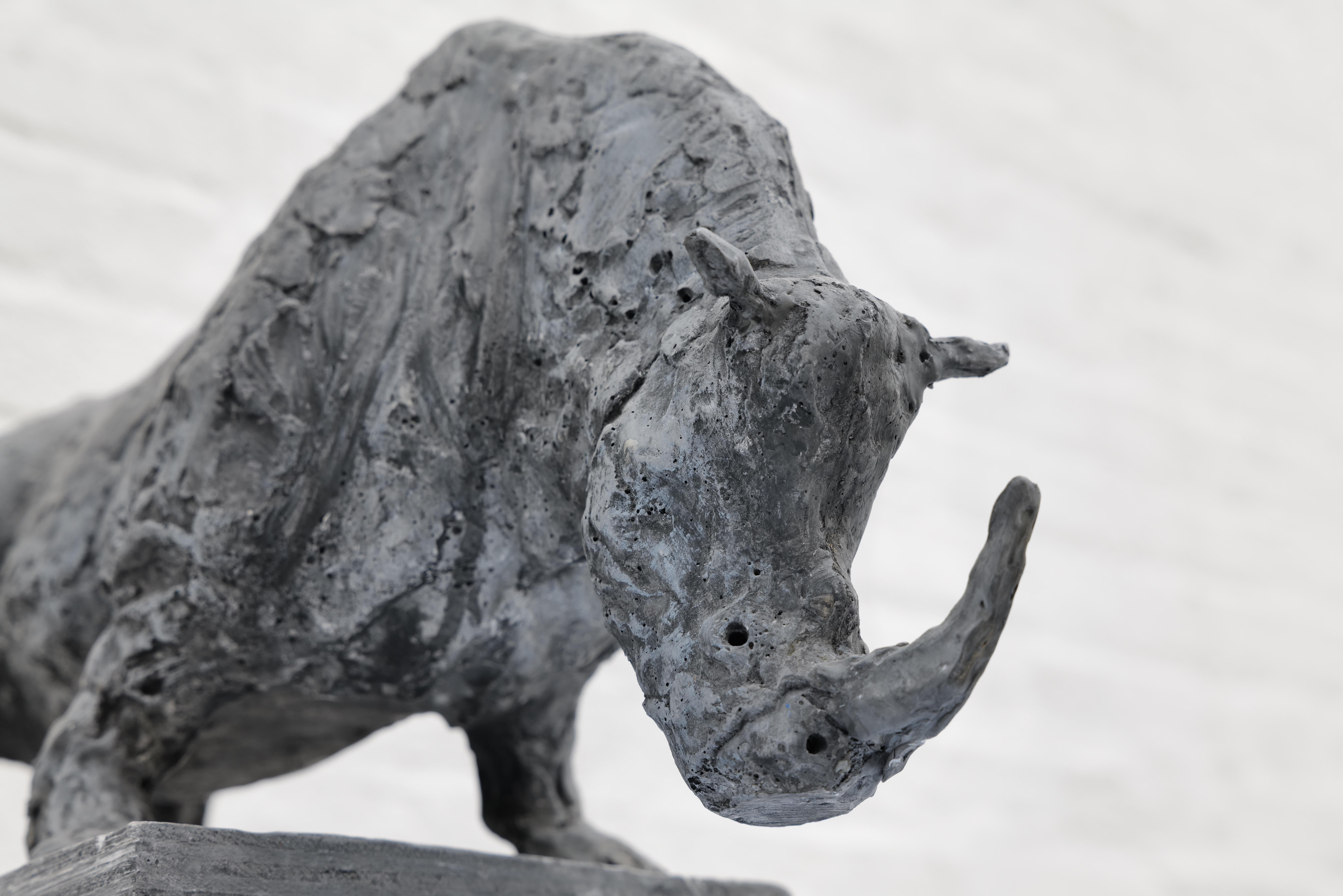Diese Skulptur ehrt eines der am stärksten bedrohten Lebewesen der Erde - das Nördliche Breitmaulnashorn. Mit nur noch zwei Weibchen steht die Art am Rande des Aussterbens. Zuras Darstellung fängt sowohl die majestätische Schwere als auch die