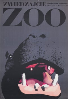 Zwiedzajcie Warszawa Zoo 1967 Polish Poster, Waldemar Swierzy