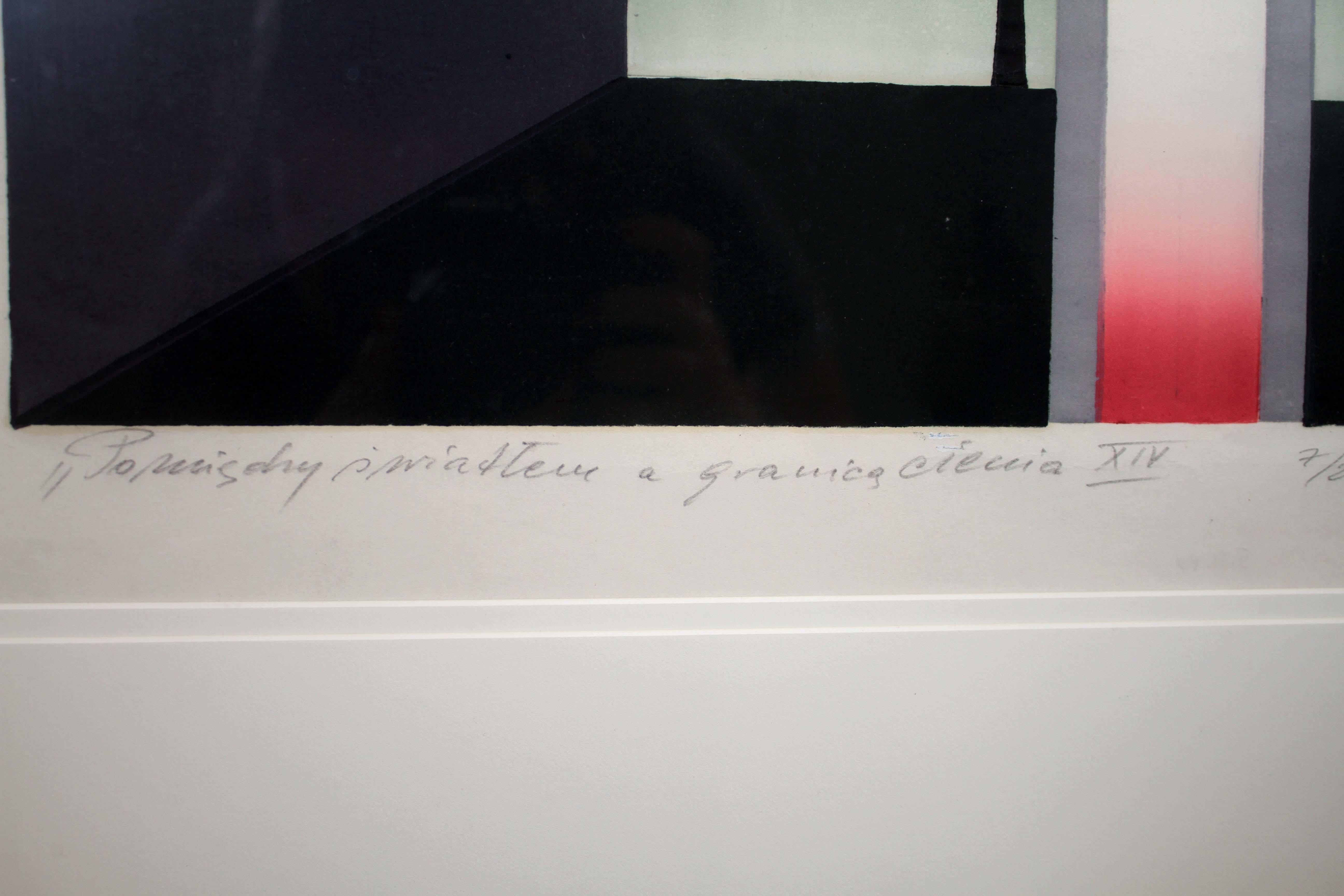Zygmunt Czyz Surrealist Dove over Tree Signed Linocut on Paper 7/20 Framed 1982 For Sale 6