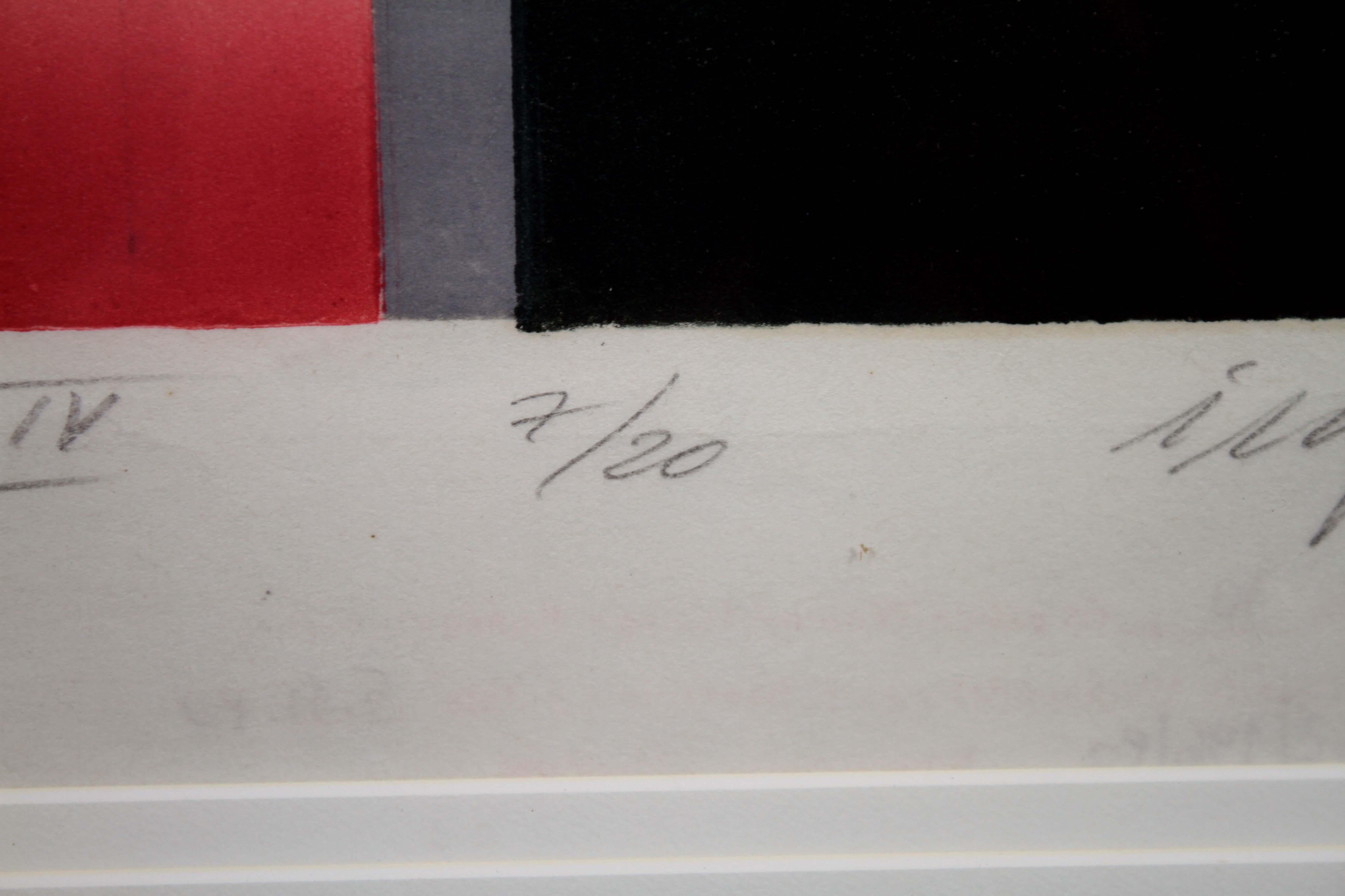Zygmunt Czyz Surrealist Dove over Tree Signed Linocut on Paper 7/20 Framed 1982 For Sale 7