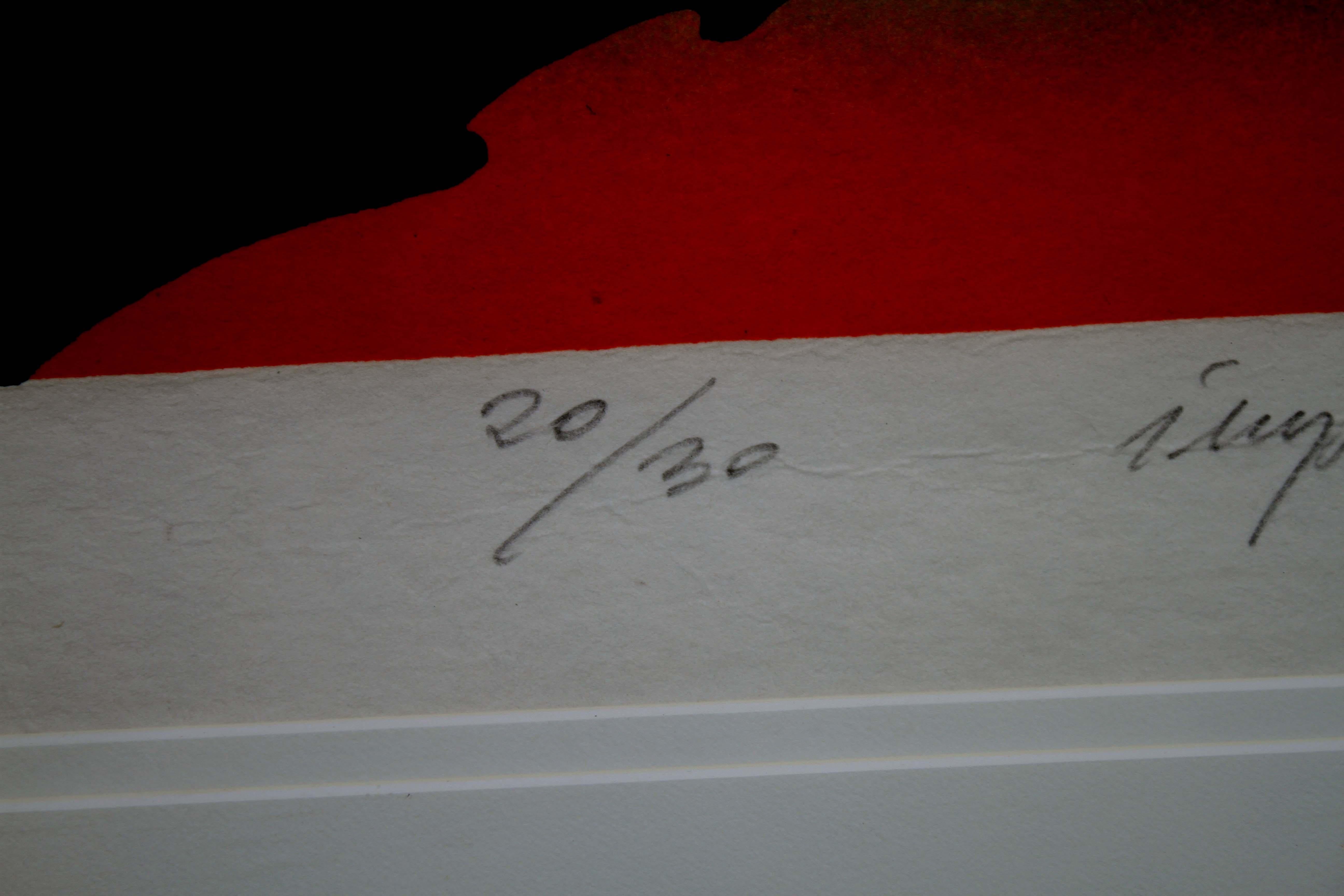 Zygmunt Czyz Surrealist Soaring Dove Signed Linocut on Paper 20/30 Framed, 1987 For Sale 5